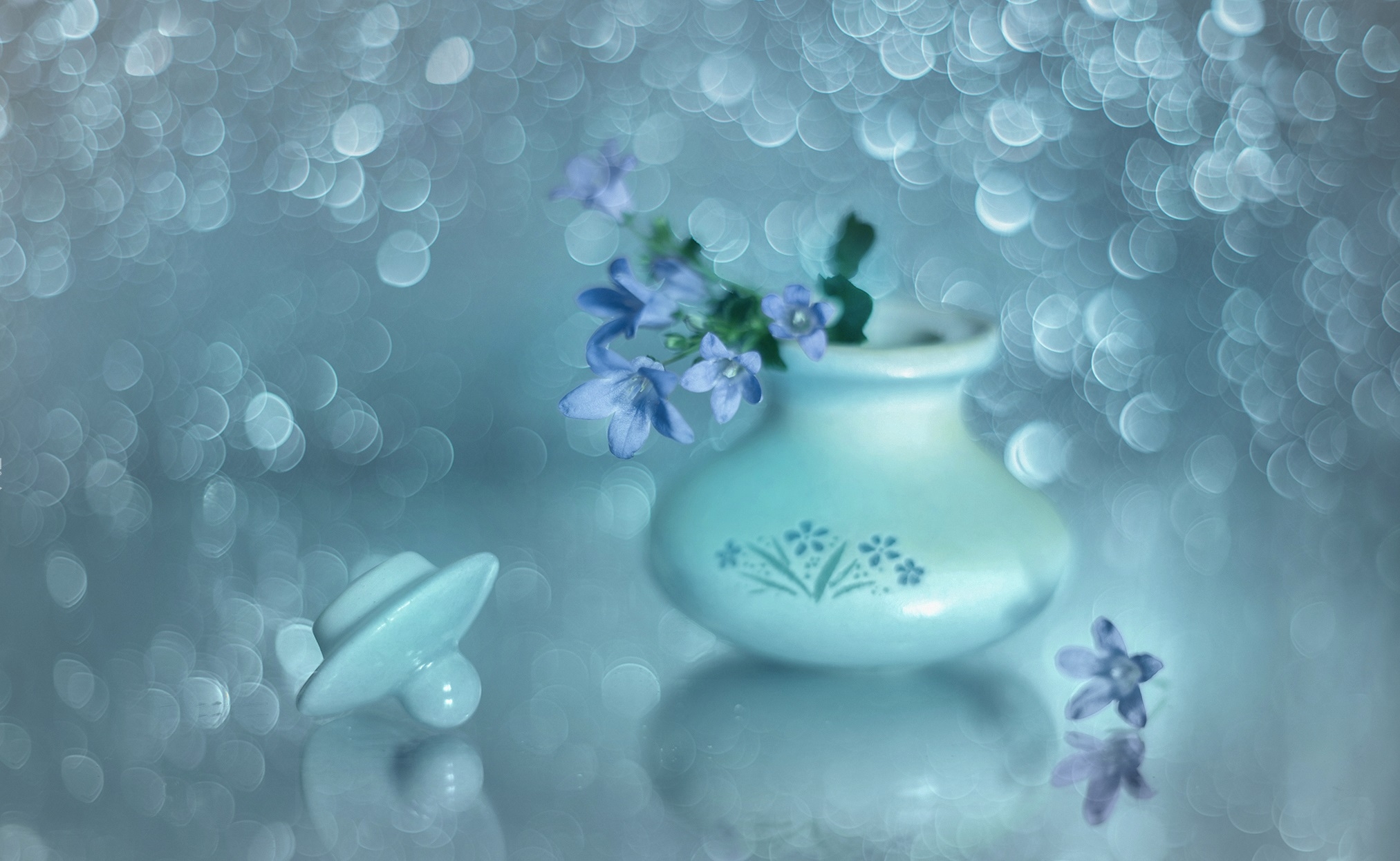 Download mobile wallpaper Still Life, Vase, Bokeh, Photography, Forget Me Not for free.
