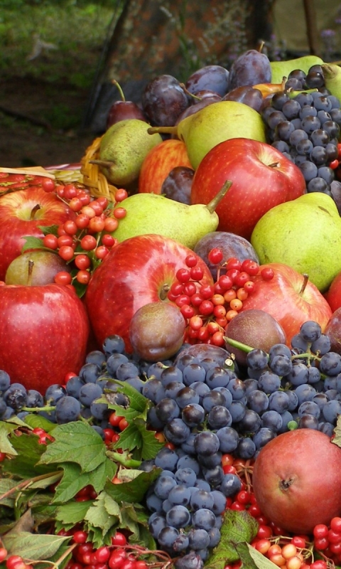 Descarga gratuita de fondo de pantalla para móvil de Frutas, Manzana, Uvas, Fruta, Alimento, Uva.