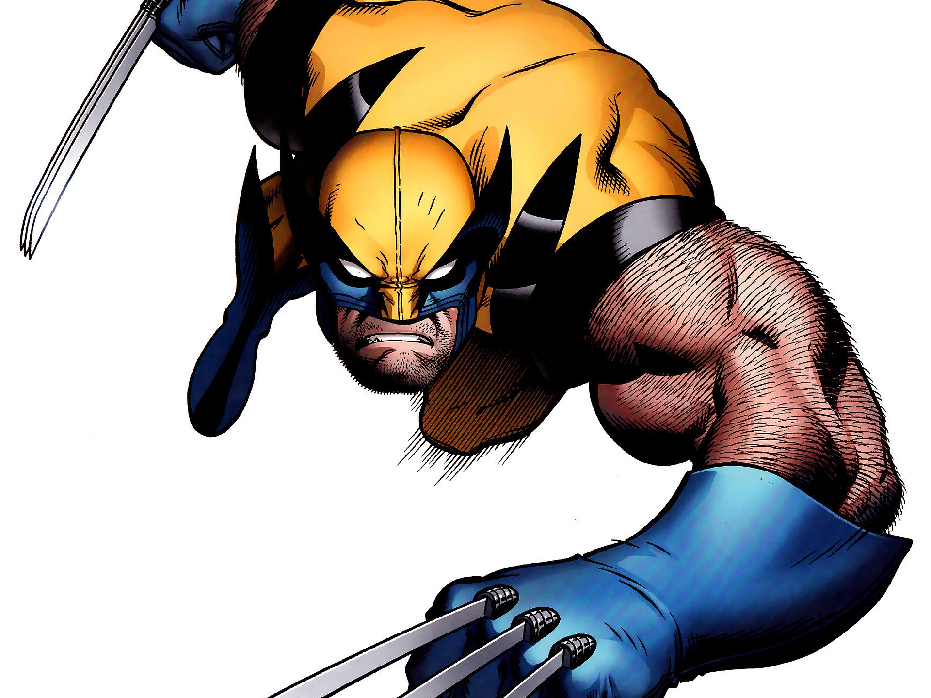 Téléchargez gratuitement l'image X Men, Bande Dessinées, Wolverine : Le Combat De L'immortel sur le bureau de votre PC