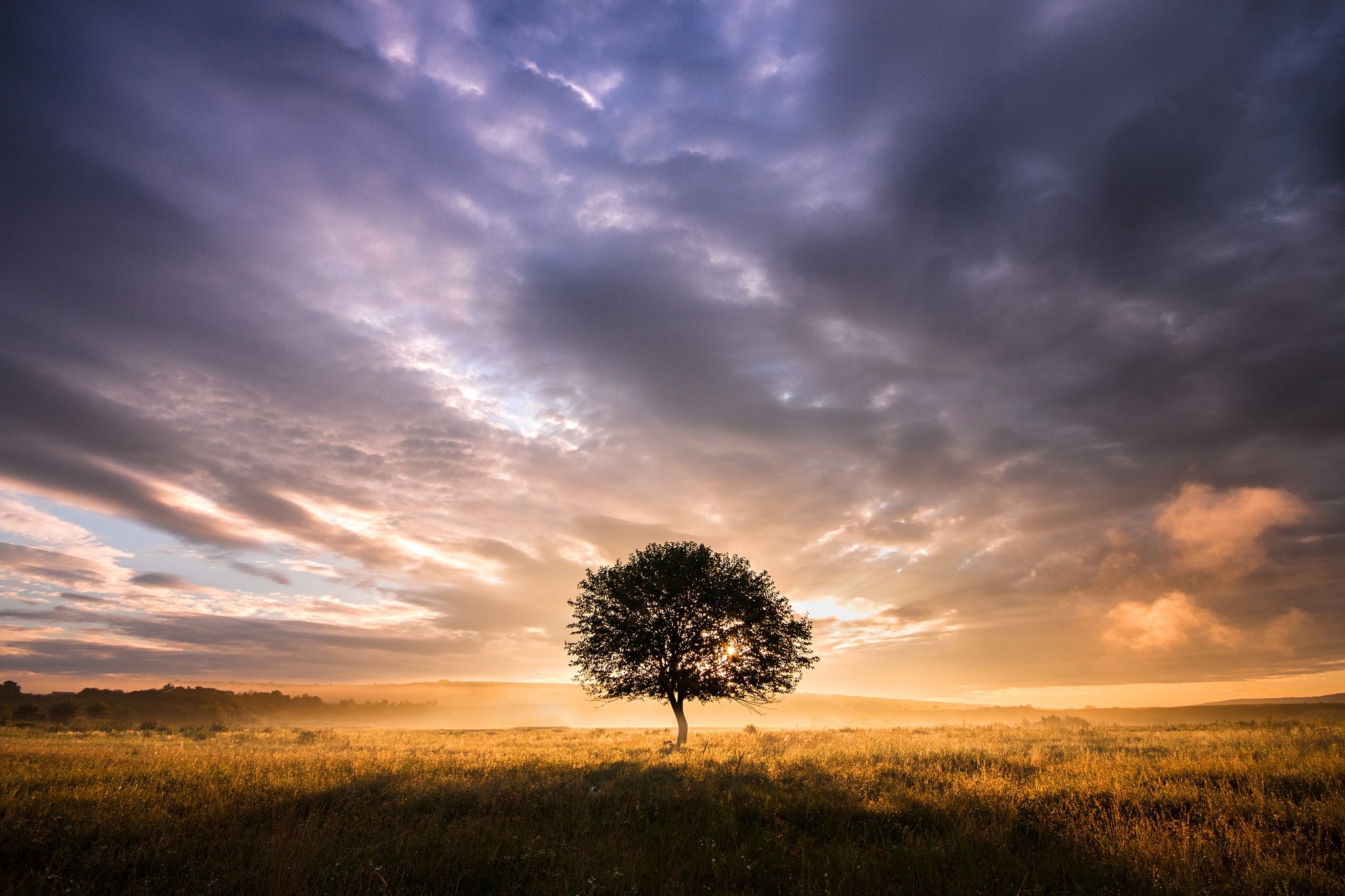 Free download wallpaper Nature, Trees, Sky, Tree, Earth, Cloud on your PC desktop