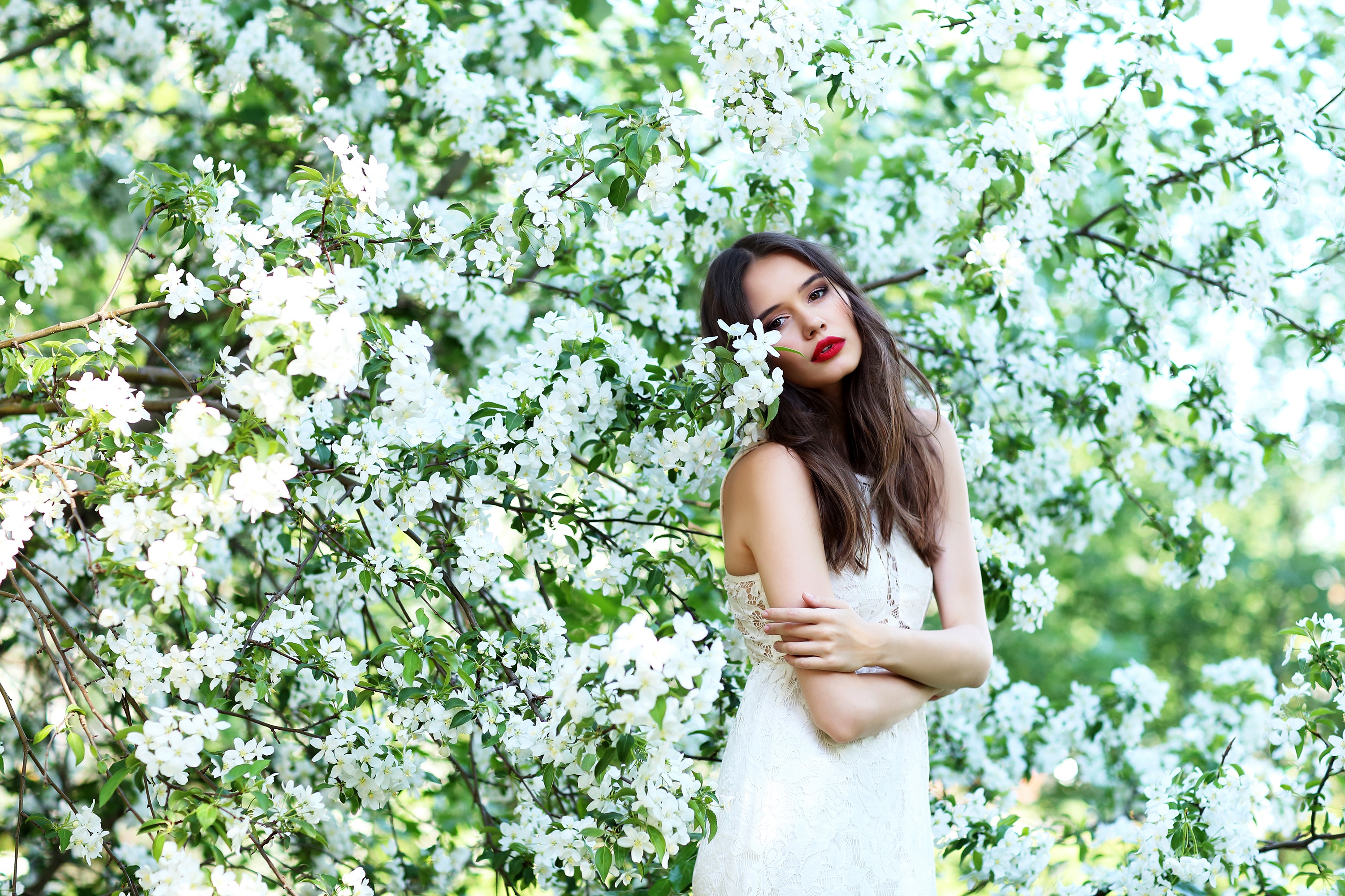 Laden Sie das Frühling, Blüte, Brünette, Modell, Frauen, Weiße Blume, Lange Haare, Lippenstift, Weißes Kleid-Bild kostenlos auf Ihren PC-Desktop herunter