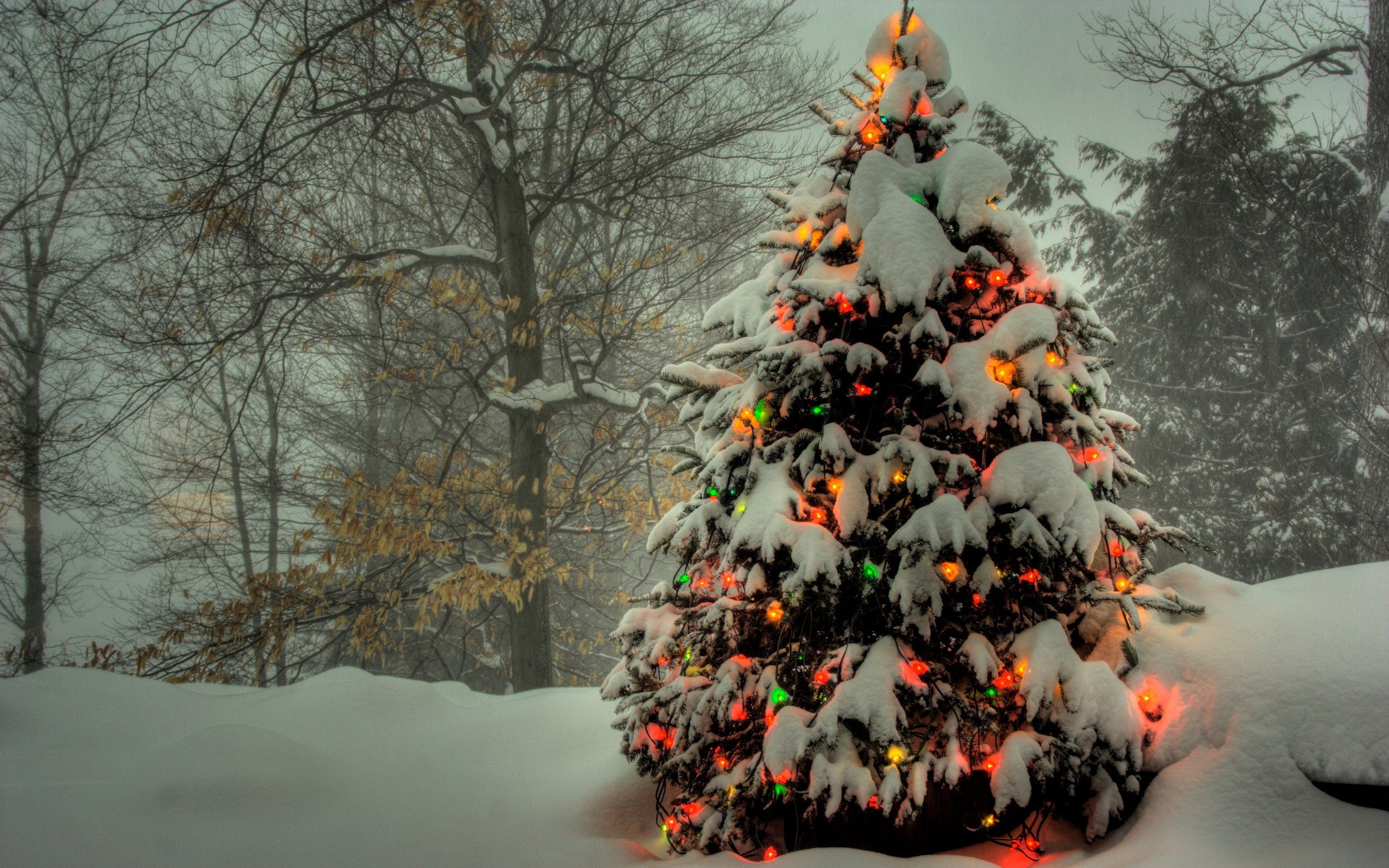 167484 descargar imagen luces de navidad, navidad, árbol de navidad, día festivo: fondos de pantalla y protectores de pantalla gratis