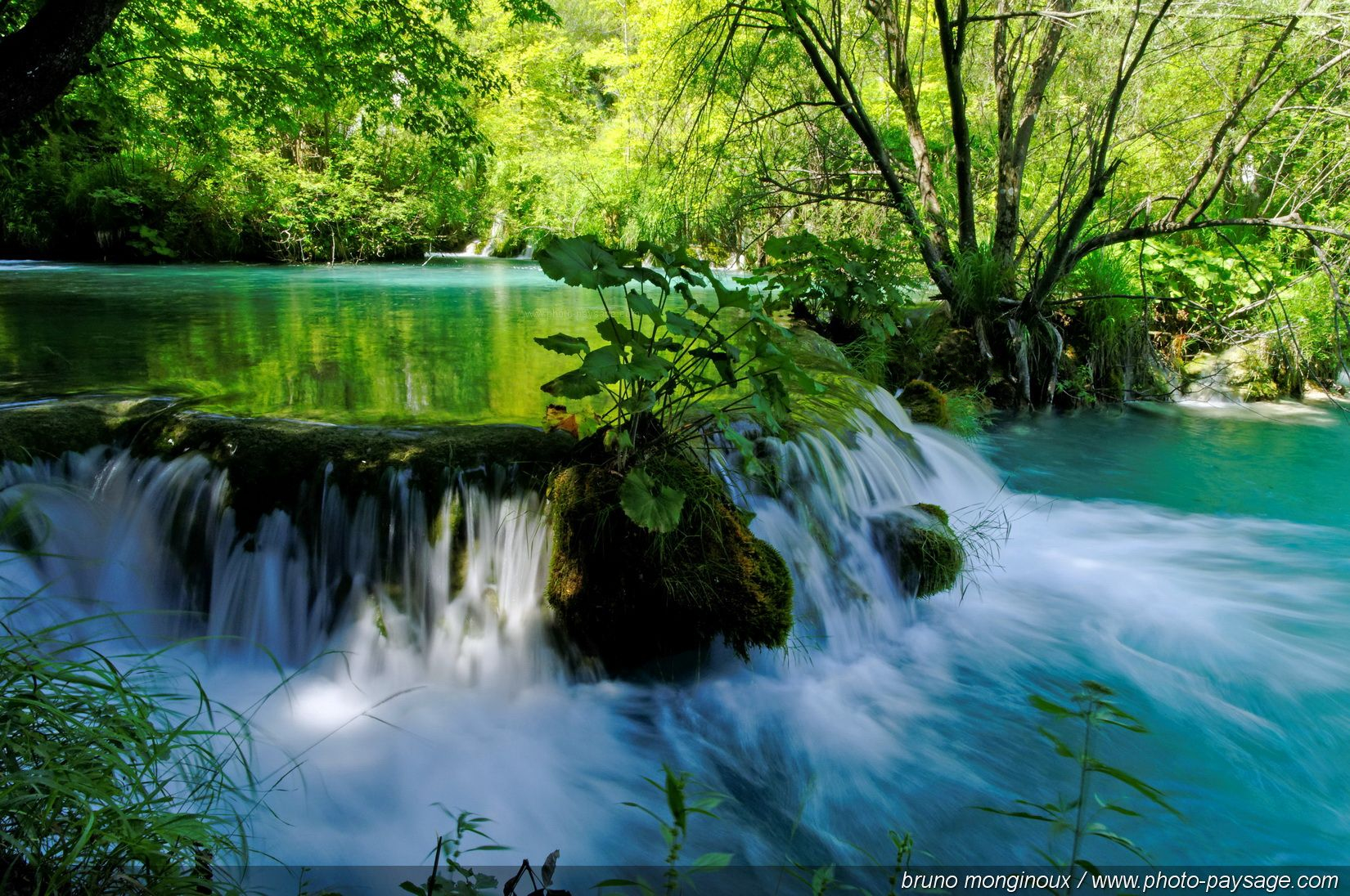 Free download wallpaper Waterfalls, Waterfall, Forest, Tree, Earth, Tropical on your PC desktop
