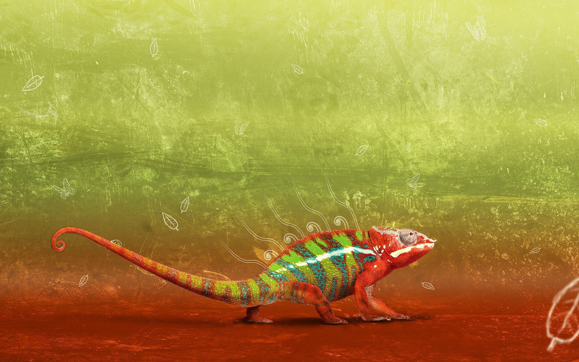 Laden Sie das Tiere, Farben, Eidechse, Reptilien, Orange Farbe), Camelion-Bild kostenlos auf Ihren PC-Desktop herunter