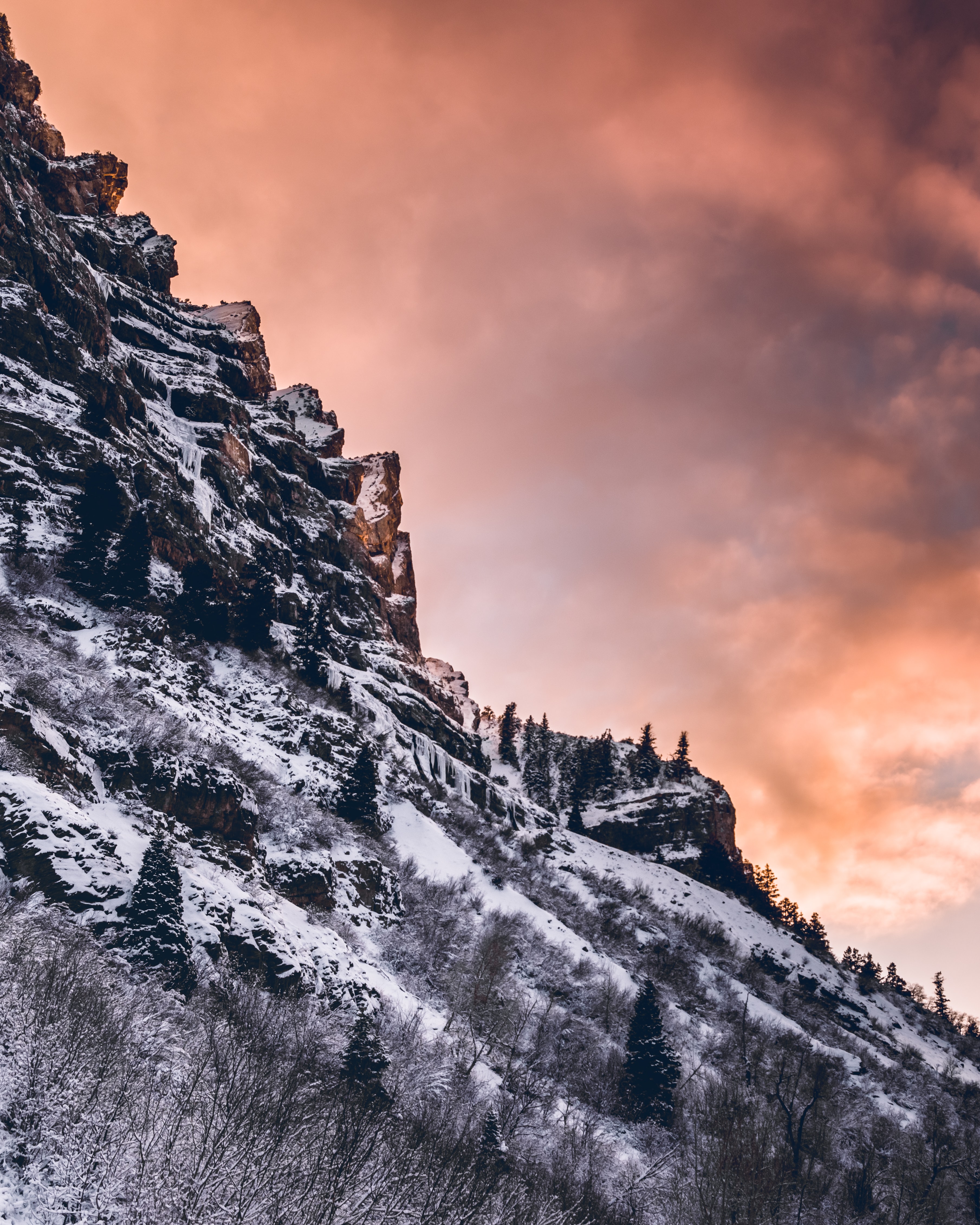 Free download wallpaper Nature, Snow, Bush, Mountain, Slope, Trees on your PC desktop