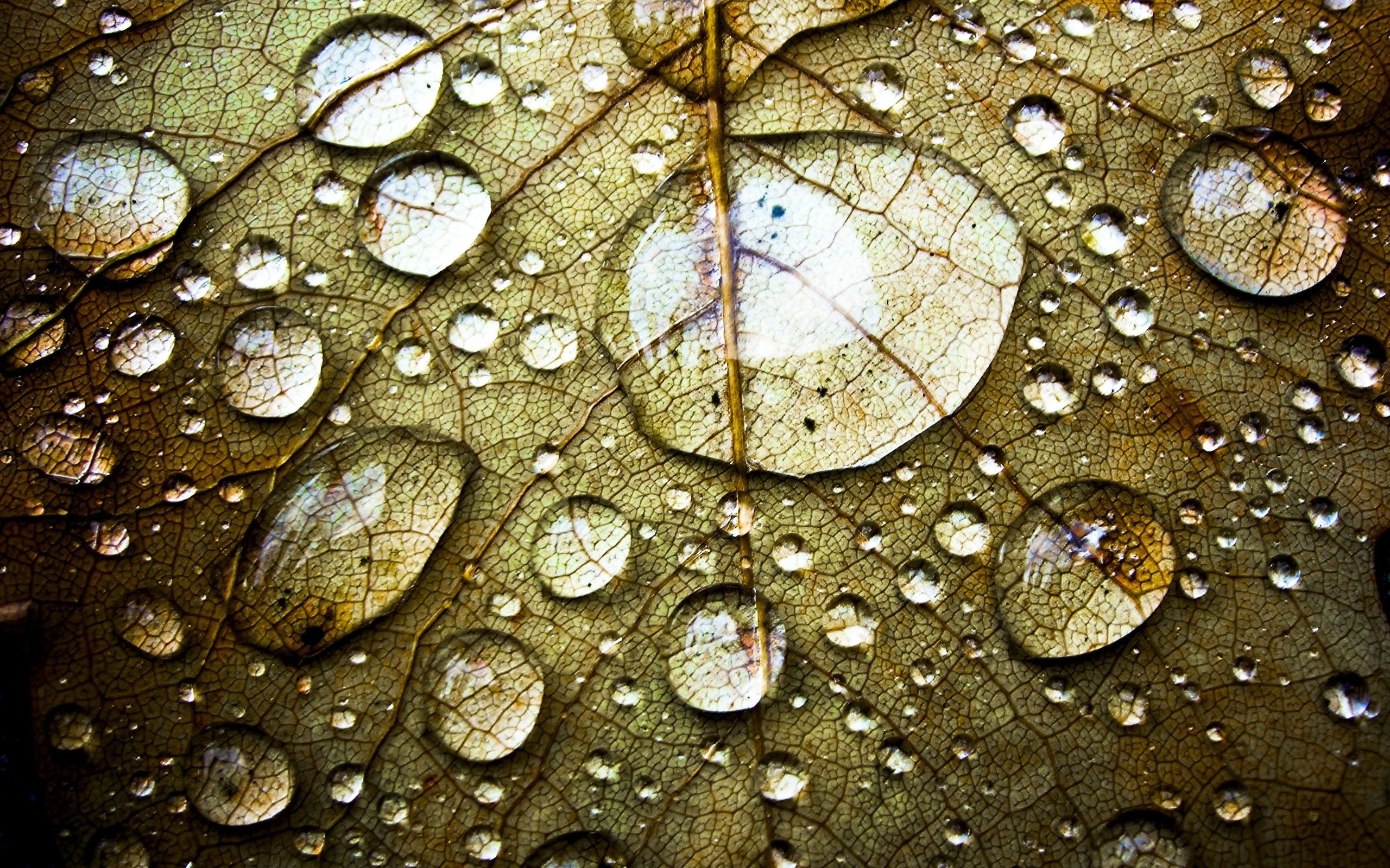 drops, objects, yellow
