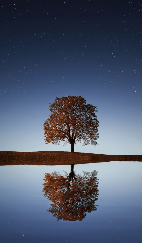 Download mobile wallpaper Nature, Water, Trees, Sky, Stars, Reflection, Tree, Earth, Lonely Tree for free.