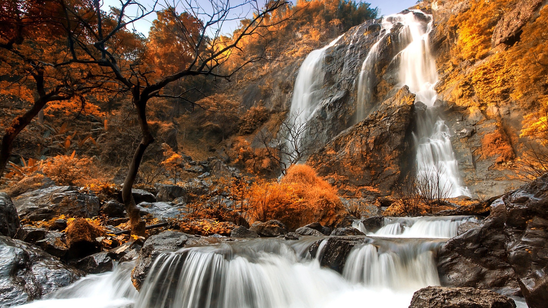 Descarga gratuita de fondo de pantalla para móvil de Otoño, Cascadas, Cascada, Árbol, Tierra/naturaleza.