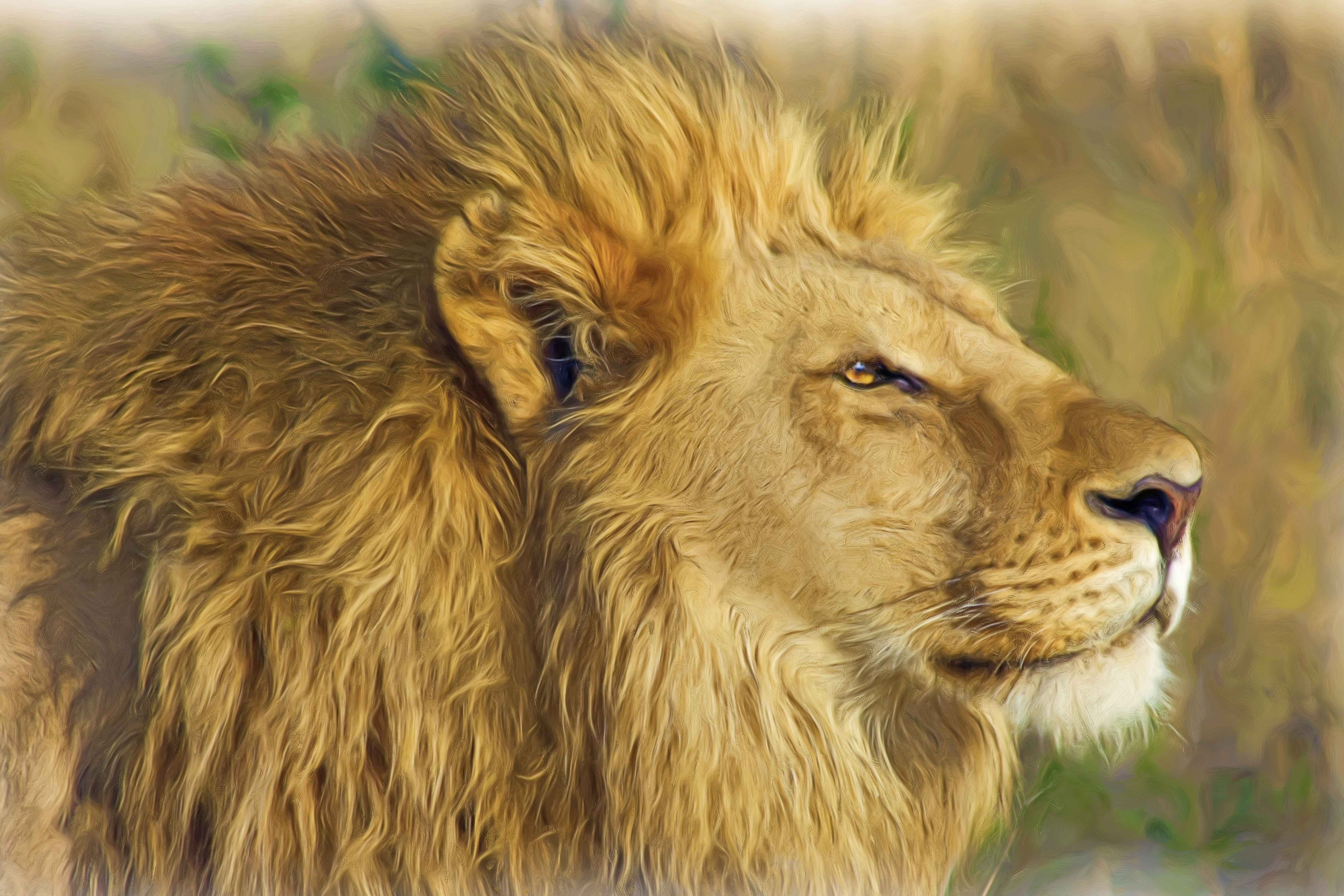 PCデスクトップに動物, ライオン, 猫, ペインティング, 油絵画像を無料でダウンロード
