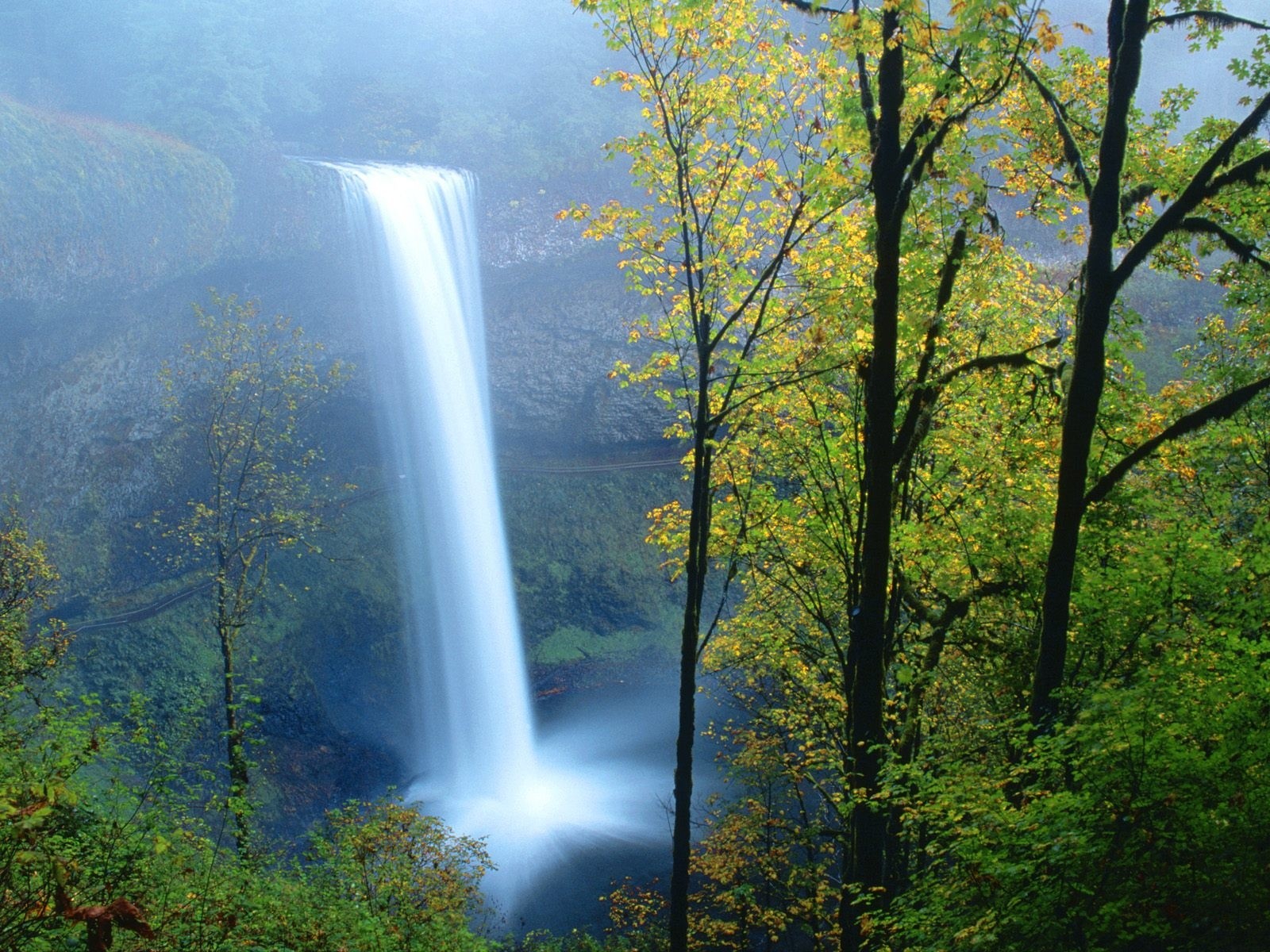 Handy-Wallpaper Natur, Wasser, Wasserfälle, Wasserfall, Vegetation, Erde/natur kostenlos herunterladen.
