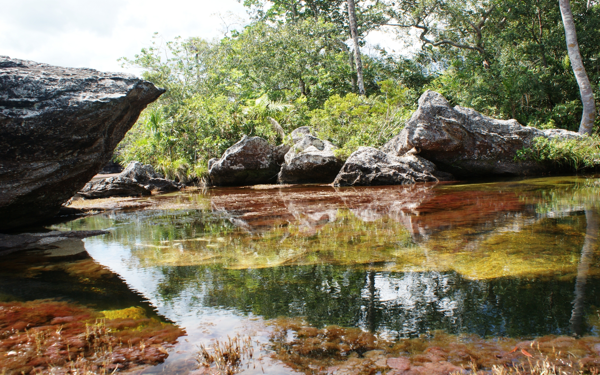 642375 baixar imagens terra/natureza, caño cristales - papéis de parede e protetores de tela gratuitamente