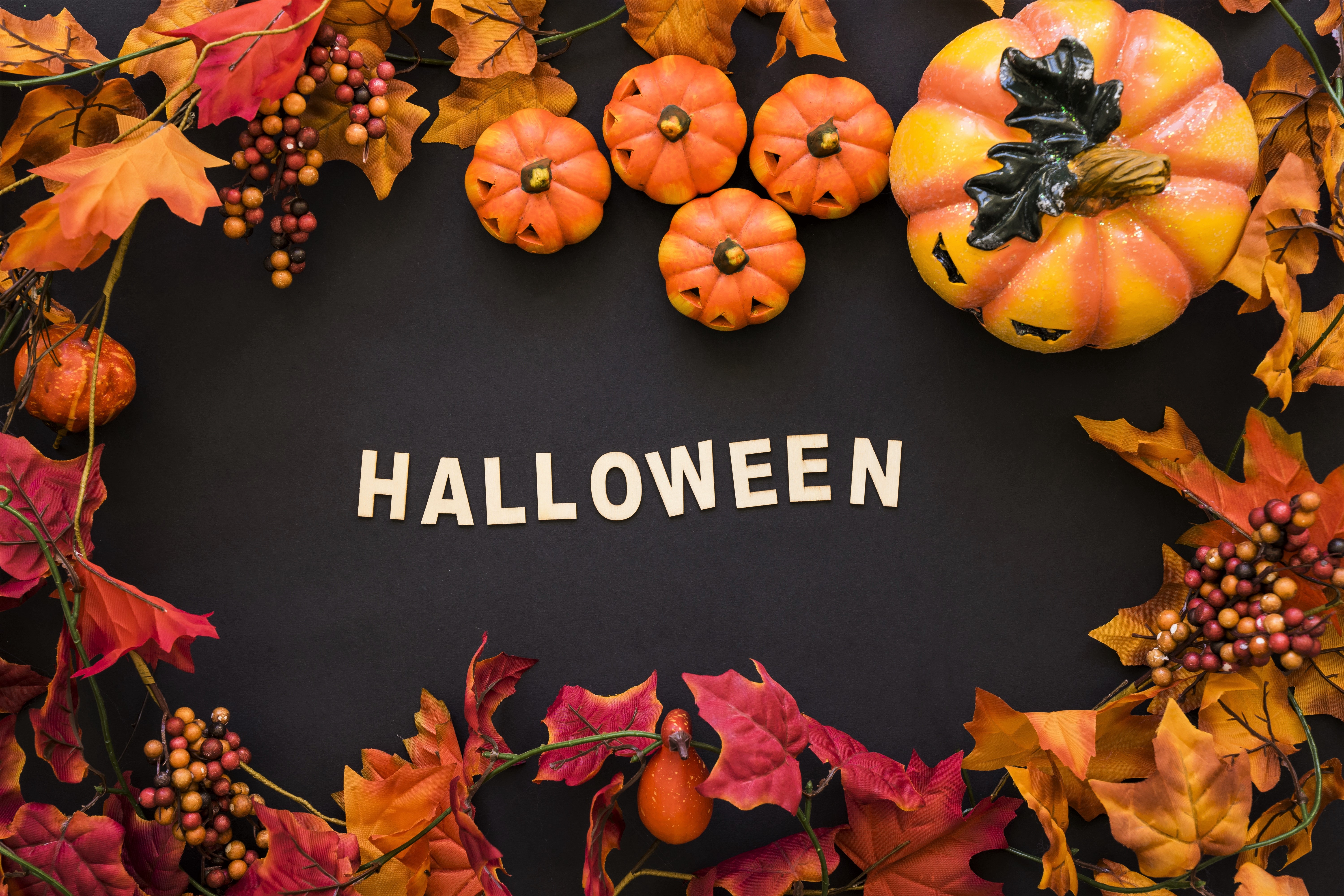 Download mobile wallpaper Halloween, Pumpkin, Holiday, Leaf, Fall, Berry for free.