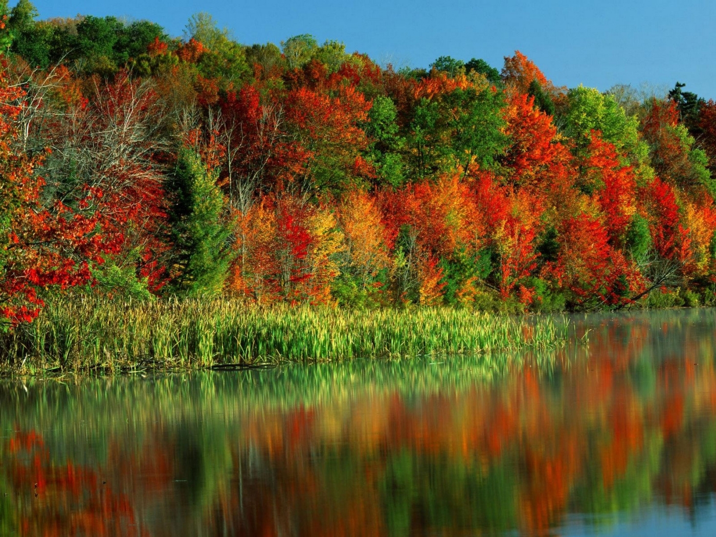 PCデスクトップに川, 木, 秋, 風景画像を無料でダウンロード