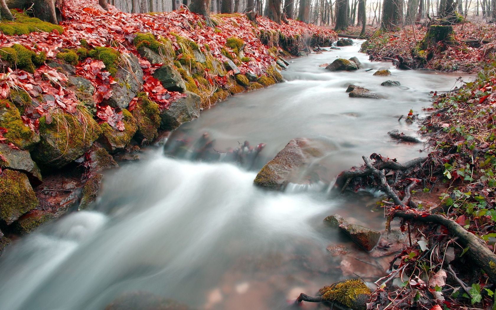 Download mobile wallpaper Forest, Brook, Creek, Leaves, Nature, Autumn for free.