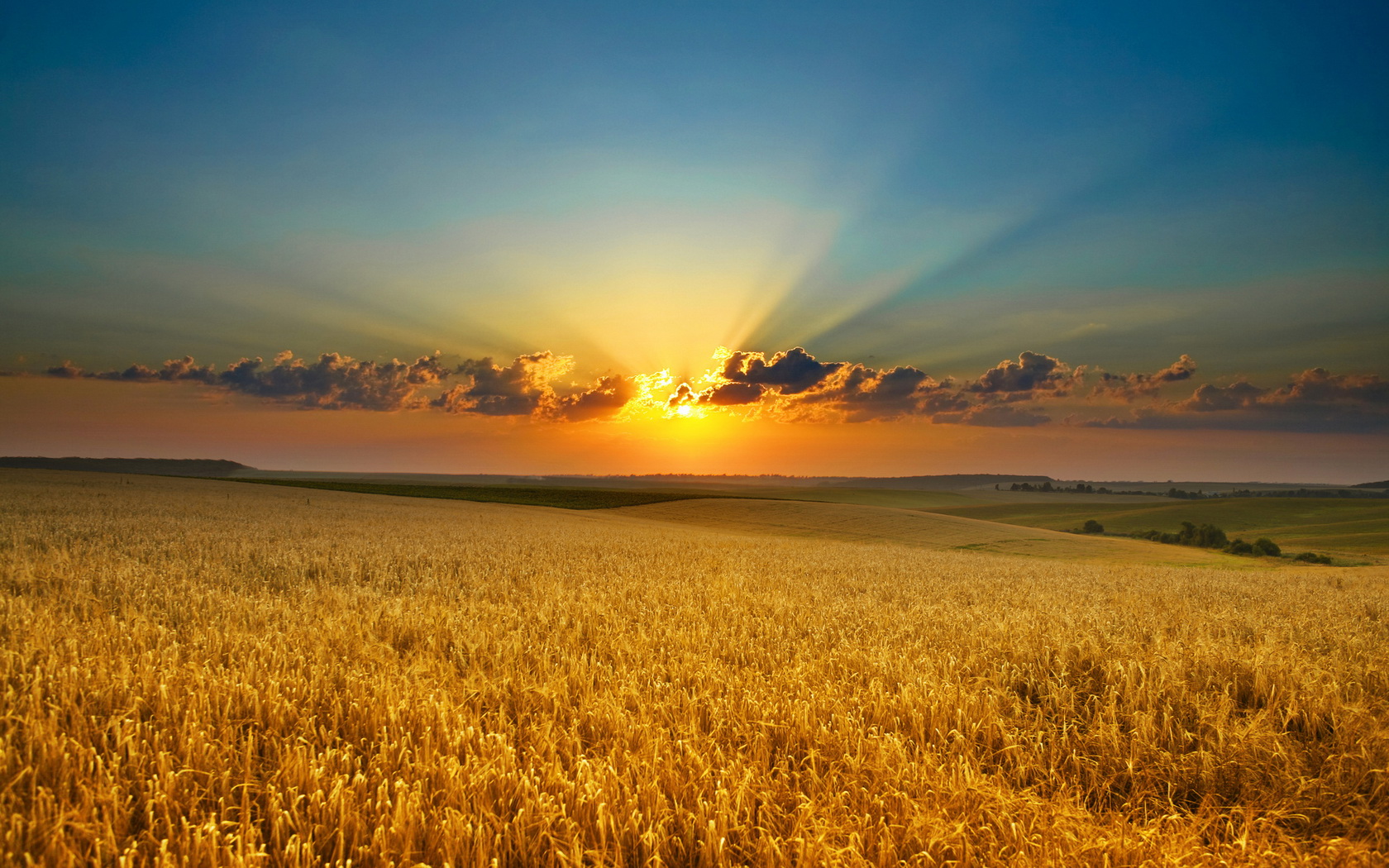 Laden Sie das Feld, Erde/natur-Bild kostenlos auf Ihren PC-Desktop herunter