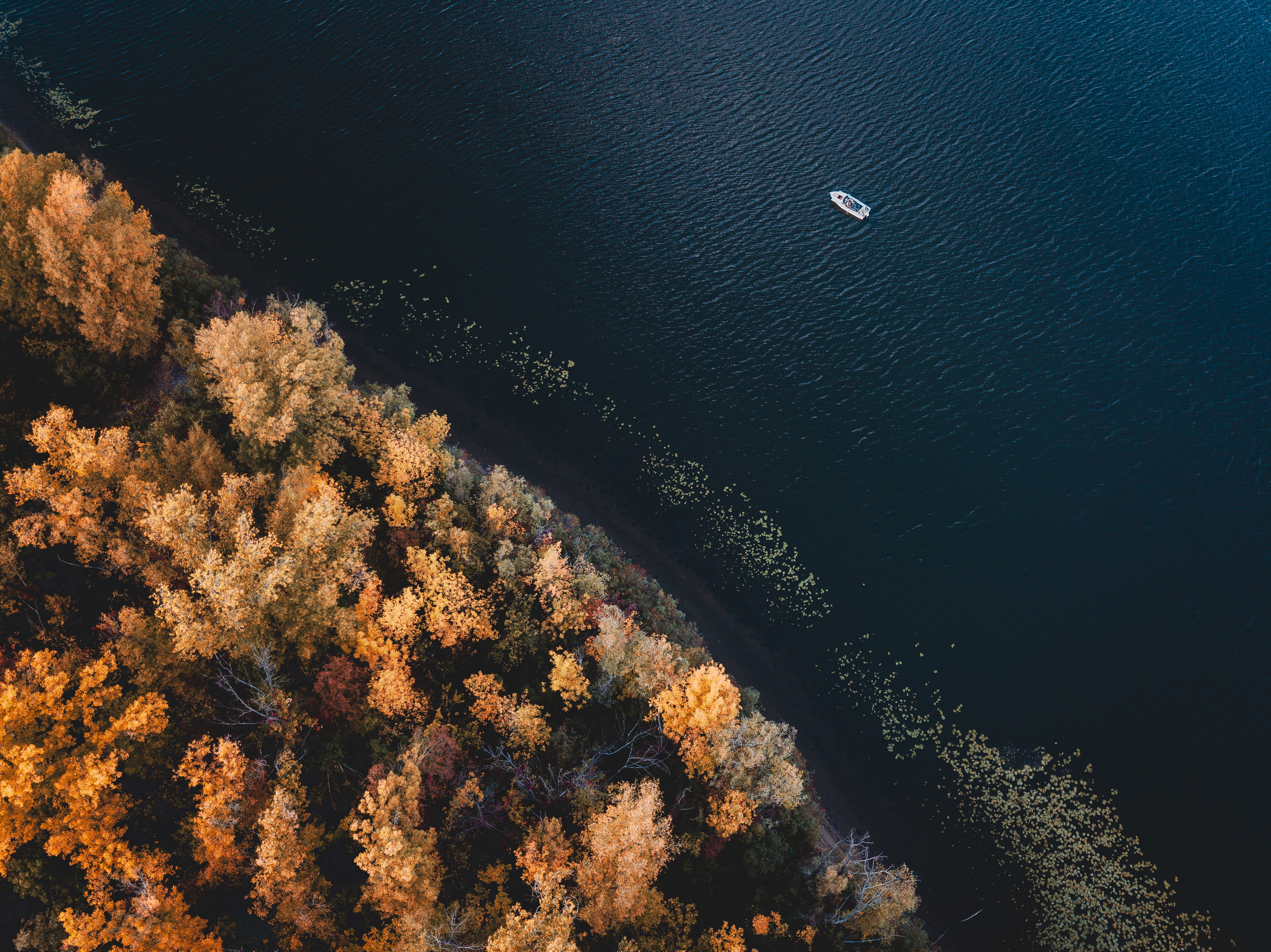 view from above, nature, trees, coast, boat Desktop home screen Wallpaper