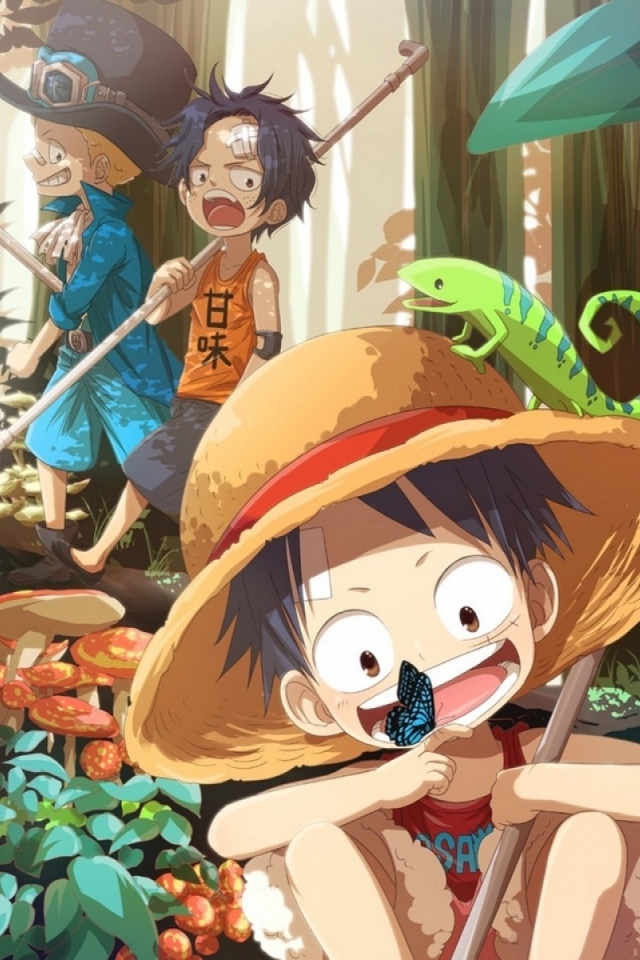 Descarga gratuita de fondo de pantalla para móvil de Animado, One Piece, Sabo (Una Pieza).