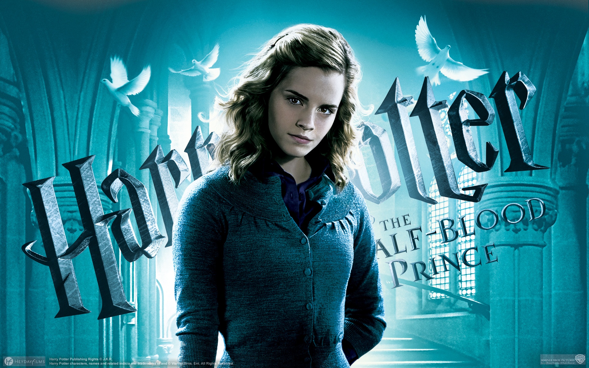 harry potter and the half blood prince, harry potter, emma watson, movie, hermione granger