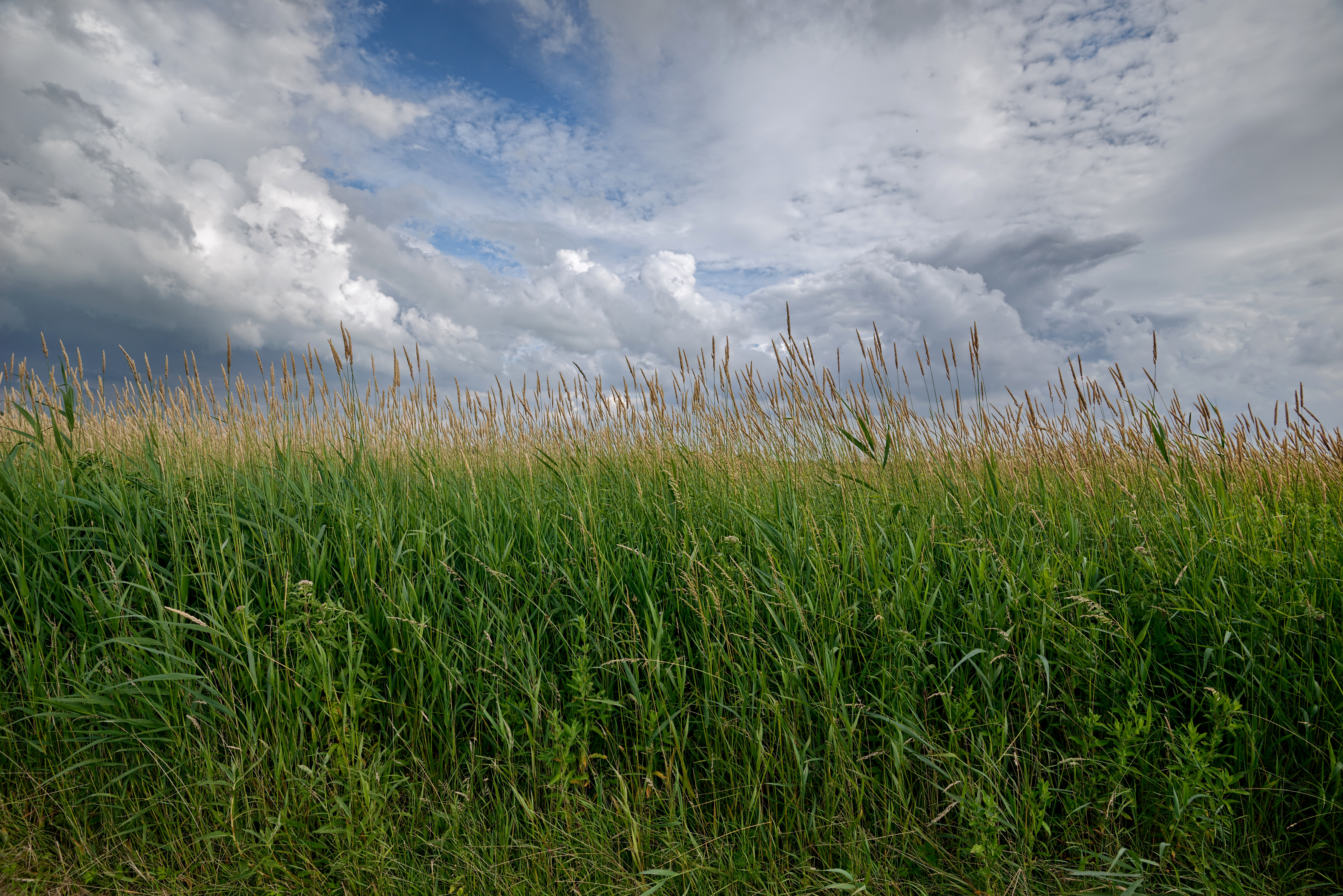 Handy-Wallpaper Natur, Feld, Wolke, Himmel, Erde/natur kostenlos herunterladen.