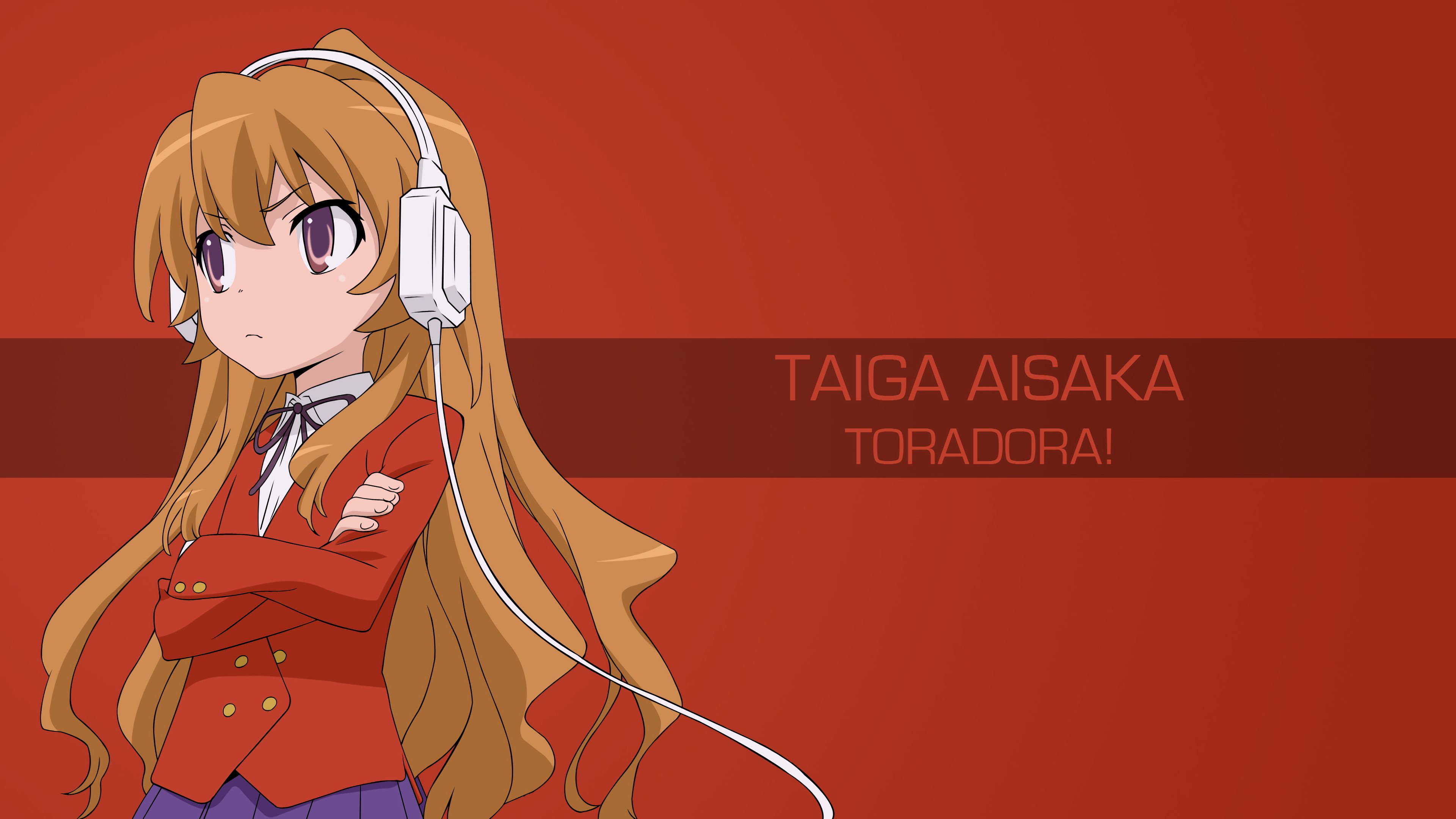 779554 Hintergrundbild herunterladen animes, toradora!, taiga aisaka - Bildschirmschoner und Bilder kostenlos