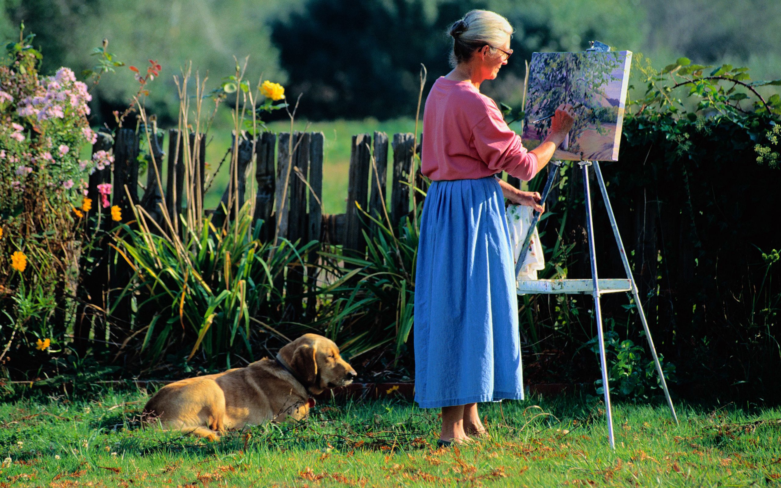 73561 скачать картинку трава, разное, собака, рисунок, отдых, рисование, холст, женщина, пожилая - обои и заставки бесплатно