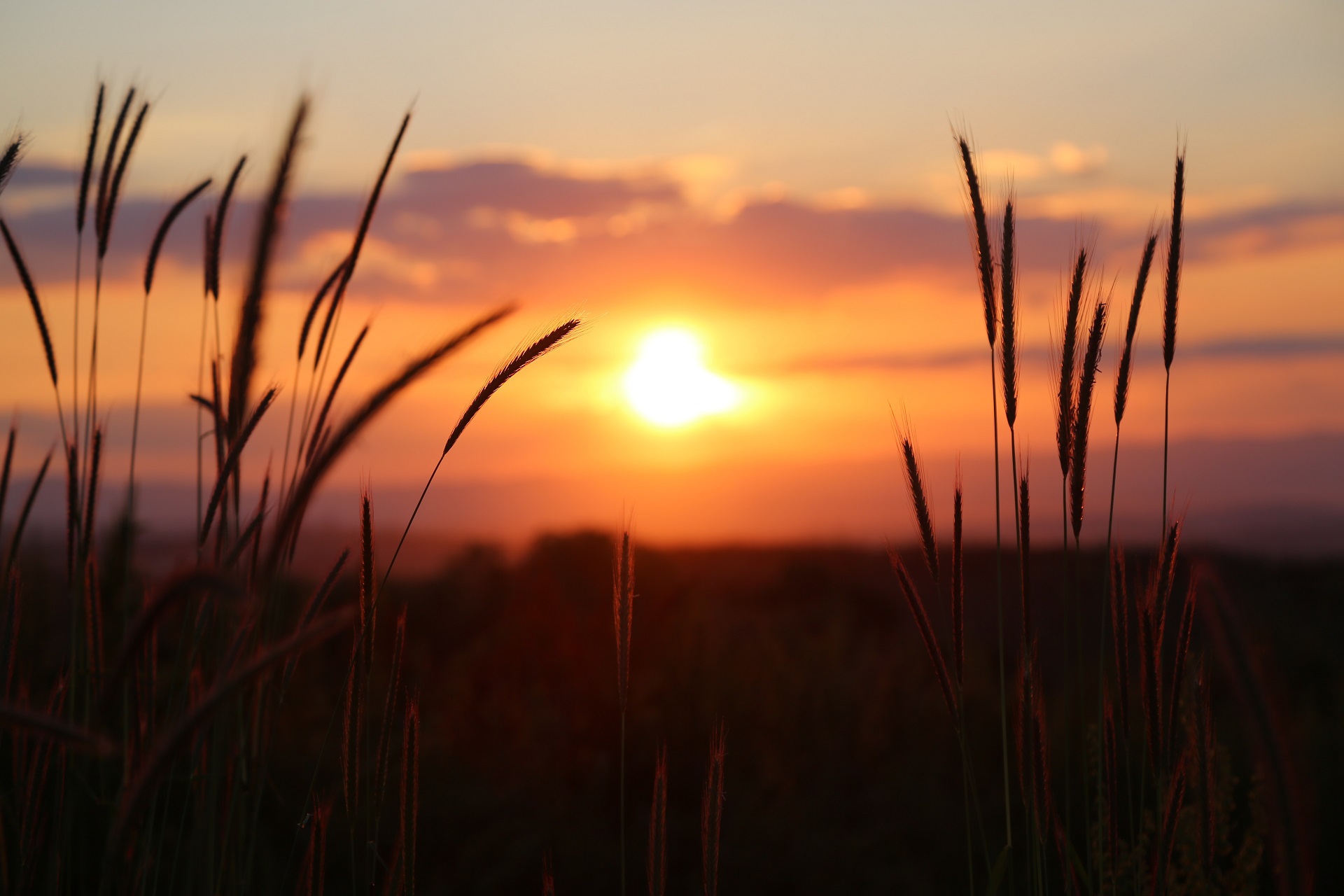 Téléchargez gratuitement l'image Coucher De Soleil, La Nature, Terre/nature sur le bureau de votre PC