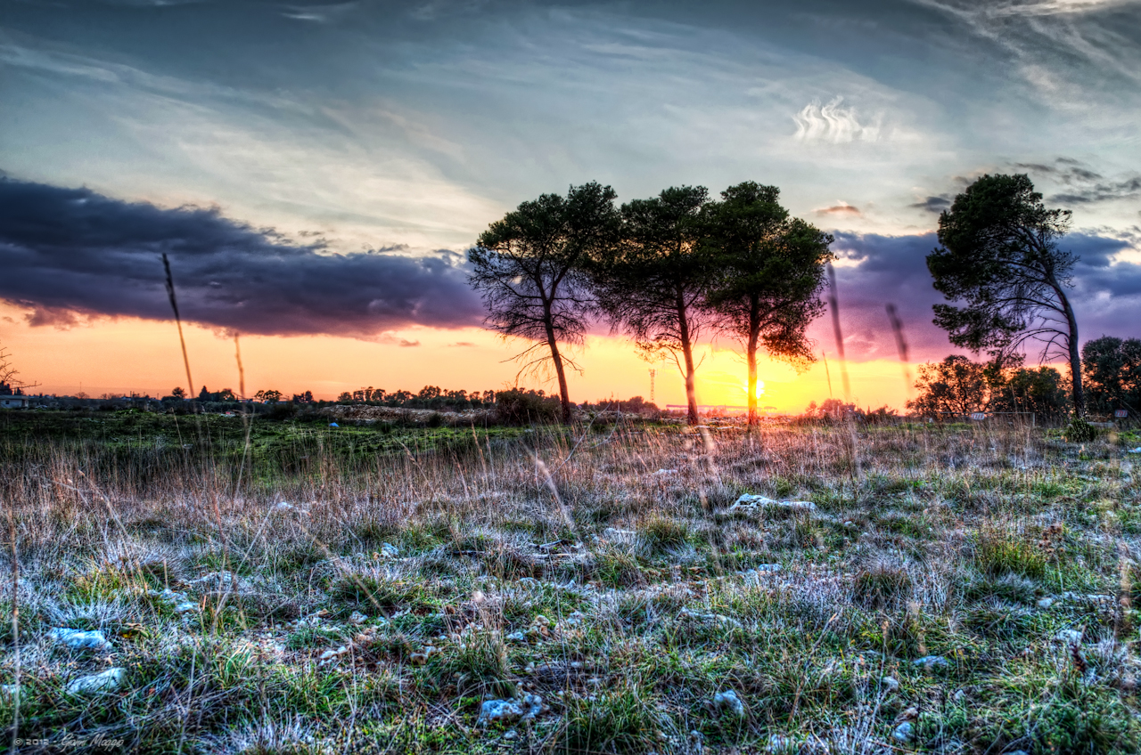 Descarga gratis la imagen Amanecer, Tierra/naturaleza en el escritorio de tu PC