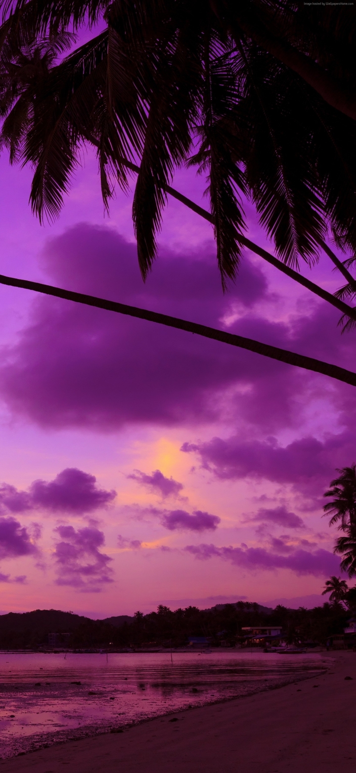 Download mobile wallpaper Nature, Sunset, Sky, Beach, Purple, Cloud, Photography, Palm Tree for free.