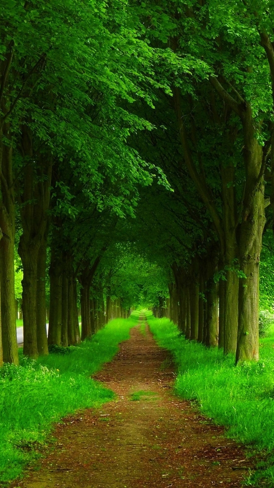 Download mobile wallpaper Path, Man Made, Greenery for free.