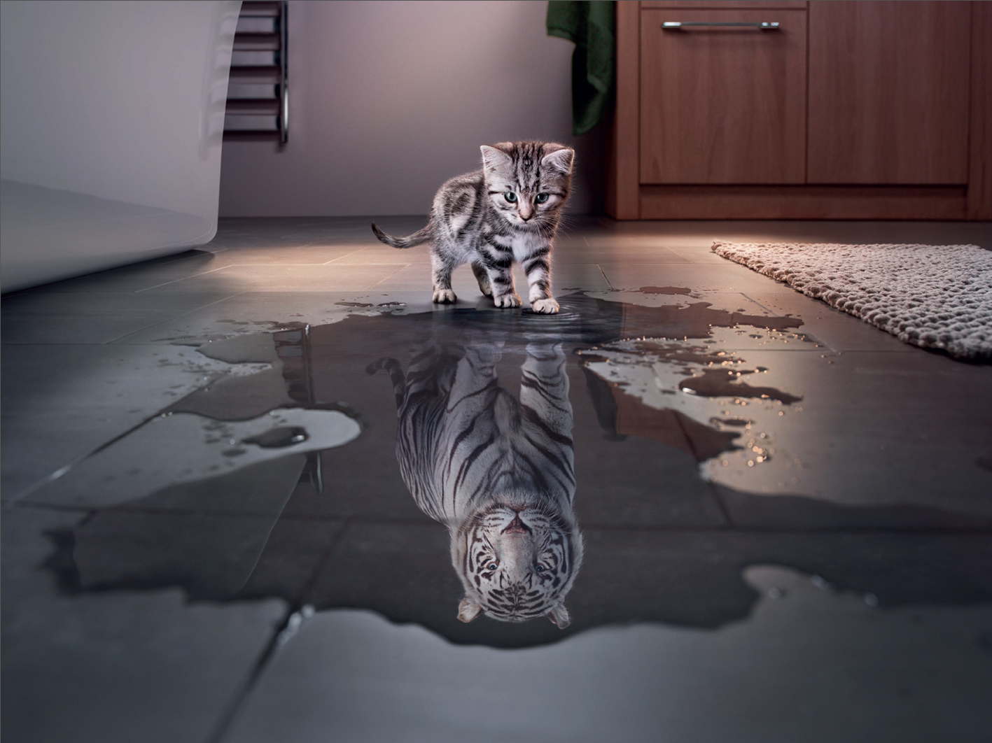 369711 baixar papel de parede tigre branco, gatos, gatinho, tigre, manipulação, fofo, animais, gato - protetores de tela e imagens gratuitamente
