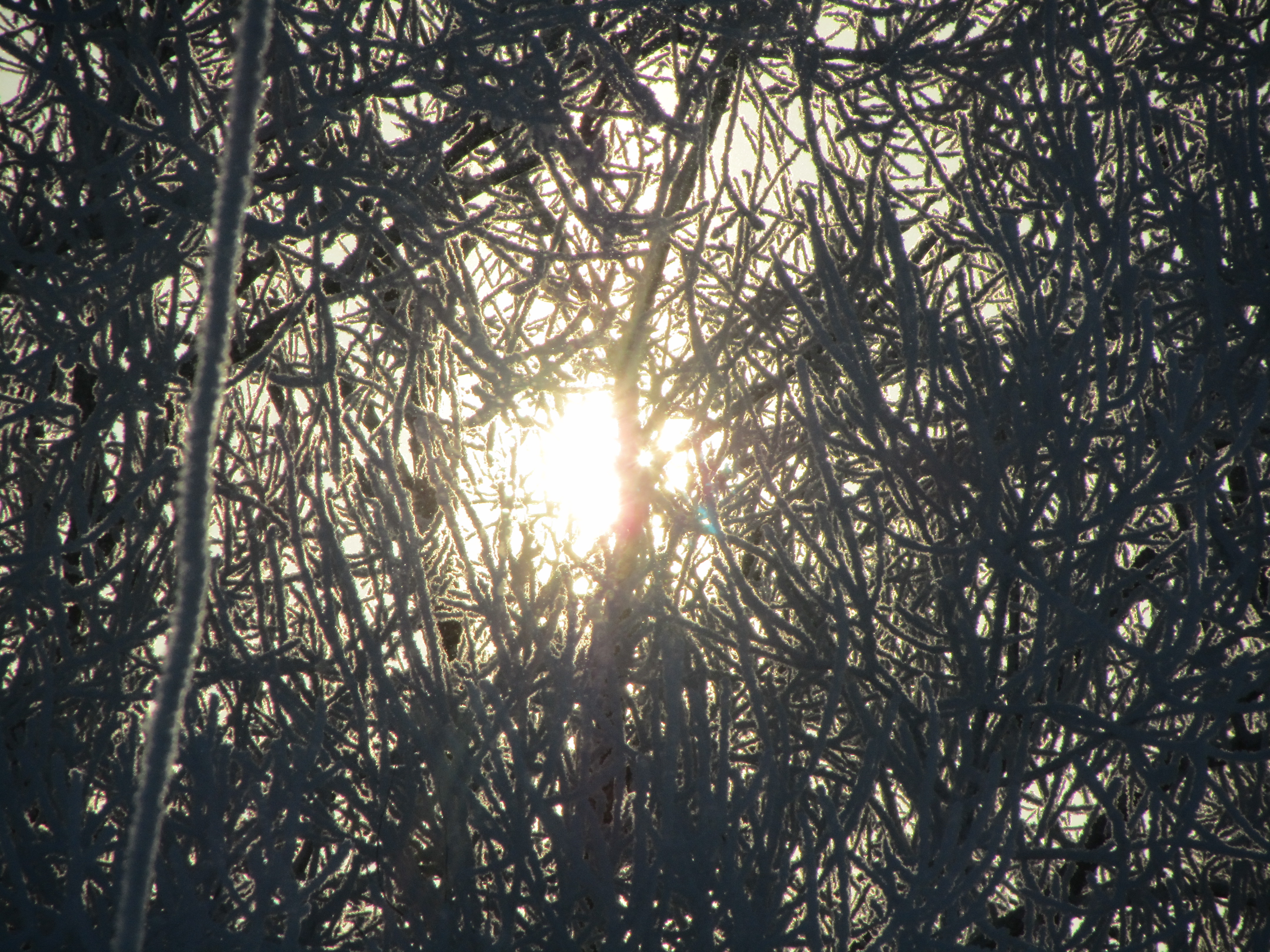 Baixe gratuitamente a imagem Terra/natureza, Raio Solar na área de trabalho do seu PC