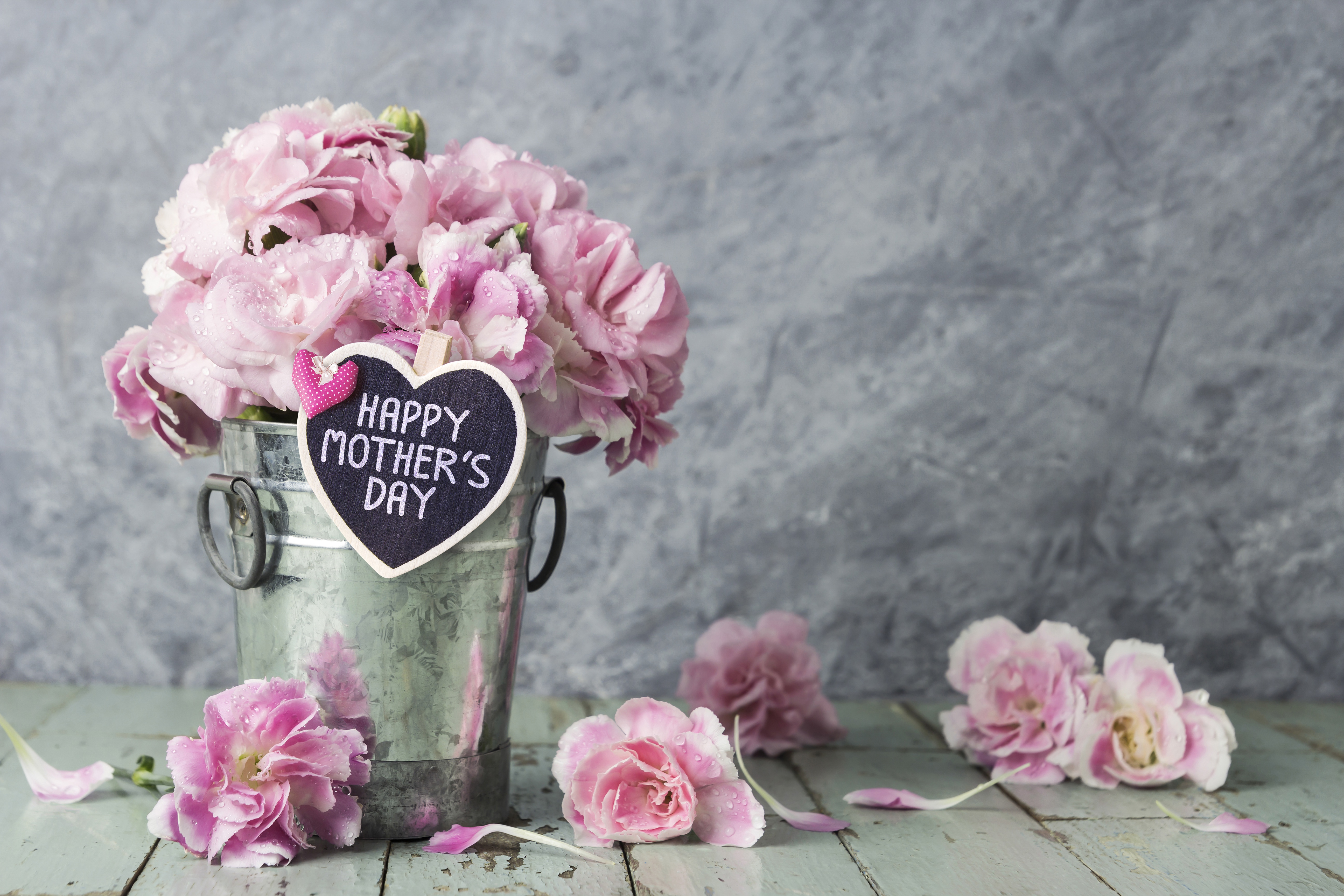 Handy-Wallpaper Feiertage, Blume, Muttertag, Pinke Blume, Stillleben kostenlos herunterladen.