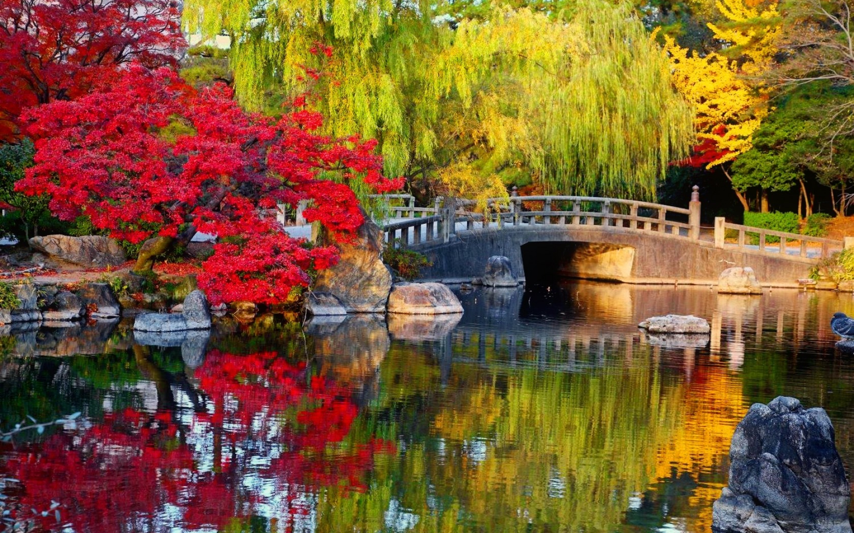 Handy-Wallpaper Herbst, Baum, Brücke, Farben, Menschengemacht, Spiegelung, Japanischer Garten kostenlos herunterladen.