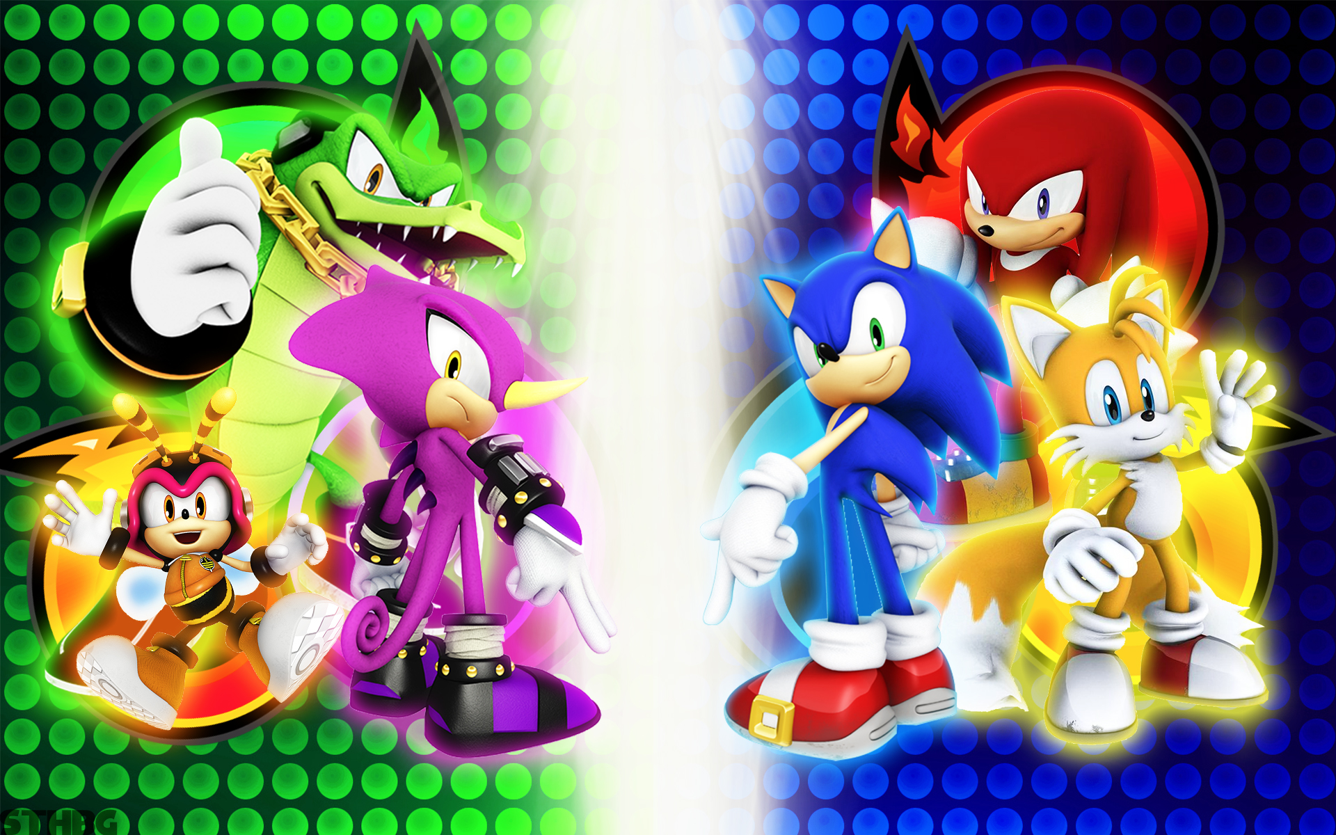 video game, sonic heroes, charmy bee, espio the chameleon, knuckles the echidna, miles 'tails' prower, sonic the hedgehog, vector the crocodile, sonic