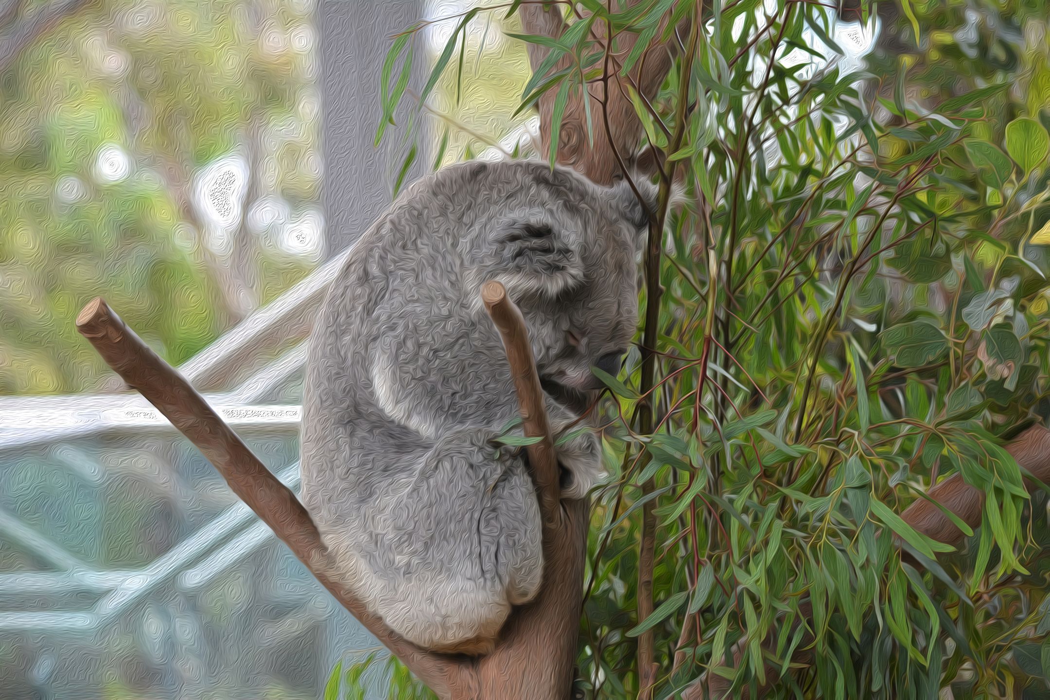 Download mobile wallpaper Animal, Sleeping, Koala, Zoo, Oil Painting for free.