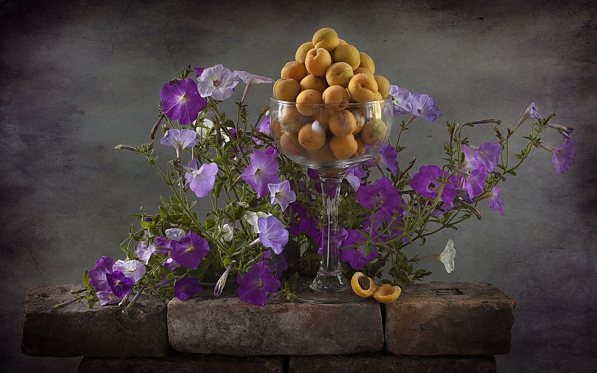 photography, still life, flower, goblet, peach, purple flower