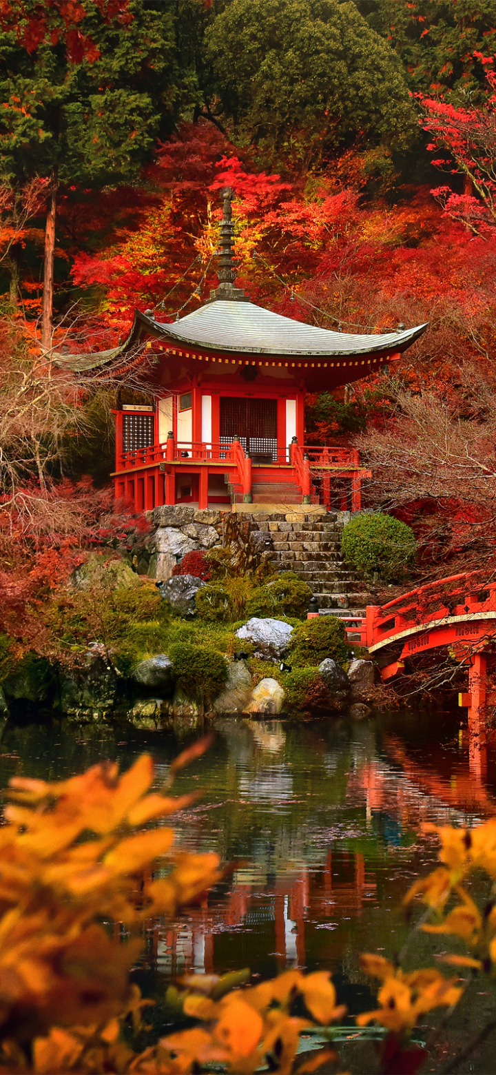 Download mobile wallpaper Nature, Fall, Bridge, Pagoda, Japan, Temples, Religious, Daigo Ji for free.