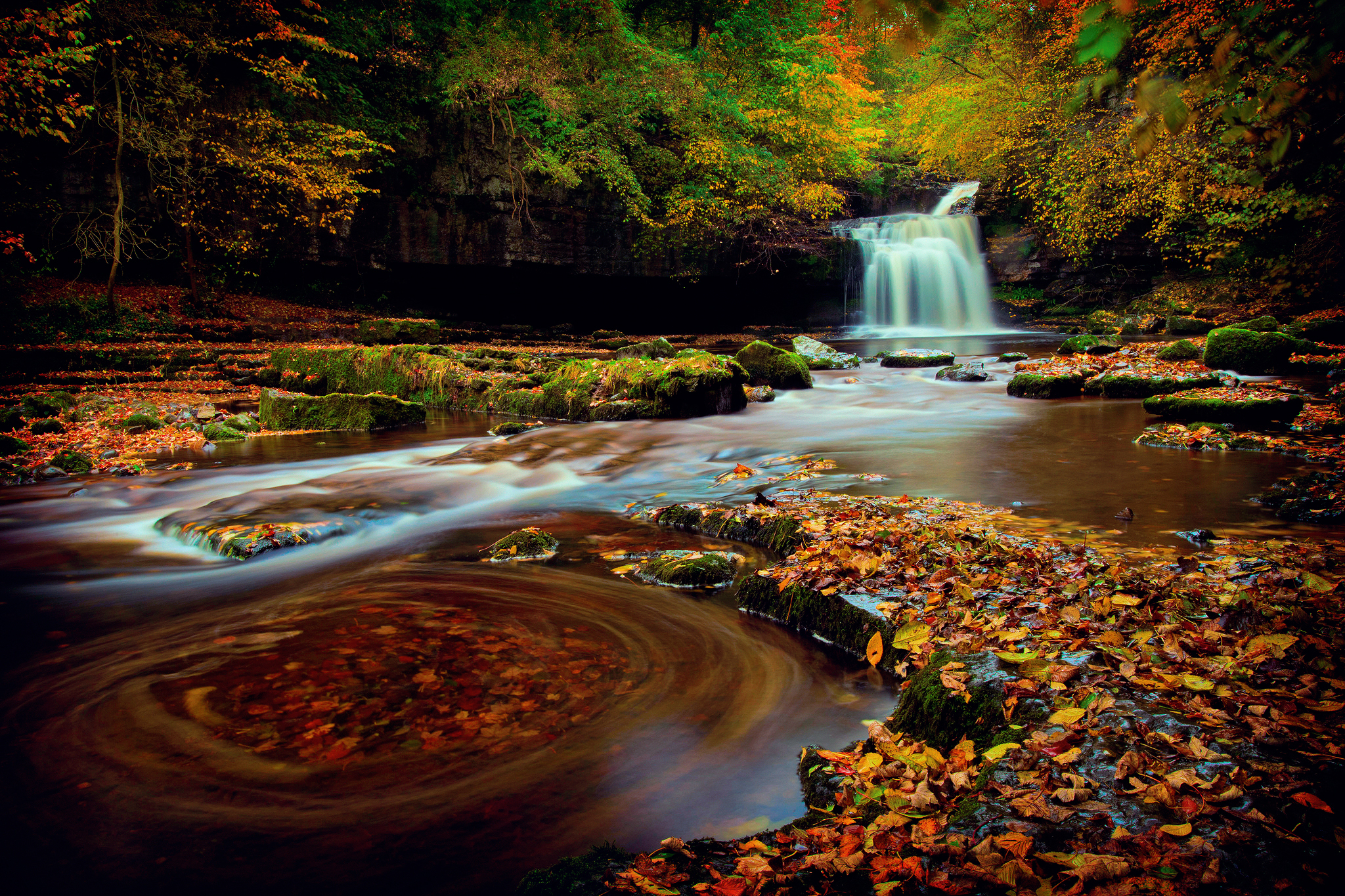earth, waterfall, creek, fall, forest, leaf, waterfalls