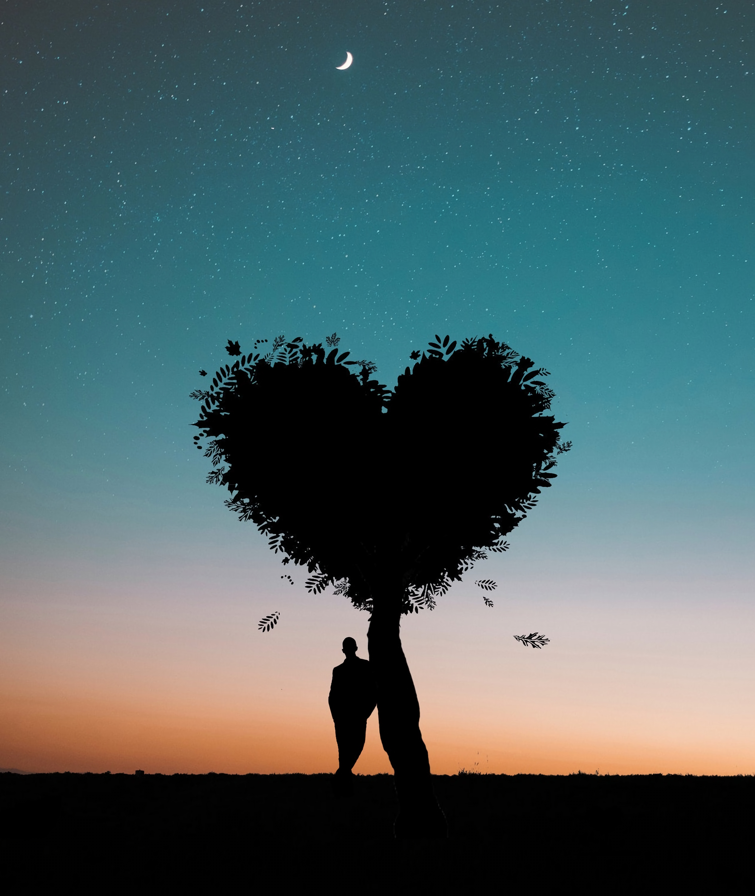 person, love, tree, human, heart, silhouette, wood