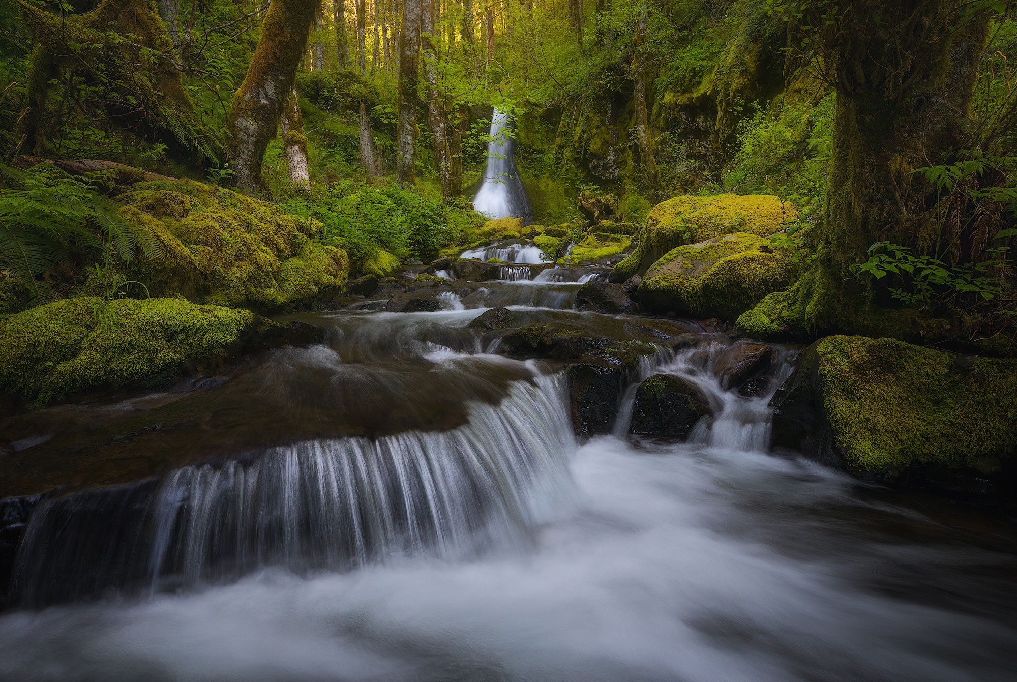 Download mobile wallpaper Waterfalls, Waterfall, Earth, Moss, Stream, River, Greenery for free.