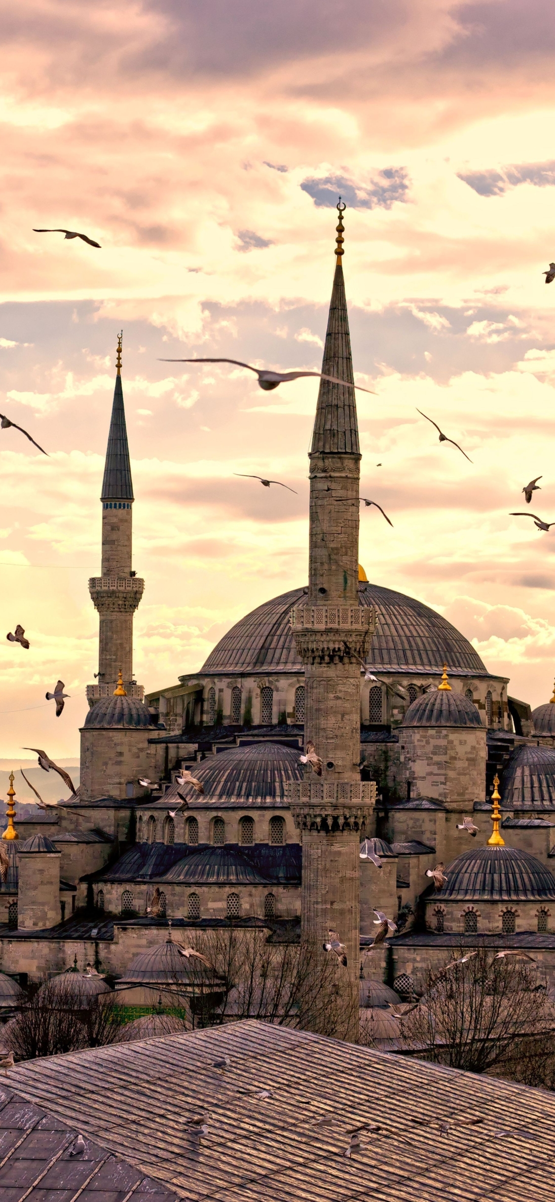 1137992 baixar papel de parede religioso, mesquita azul, istambul, gaivota, peru, turquia - protetores de tela e imagens gratuitamente