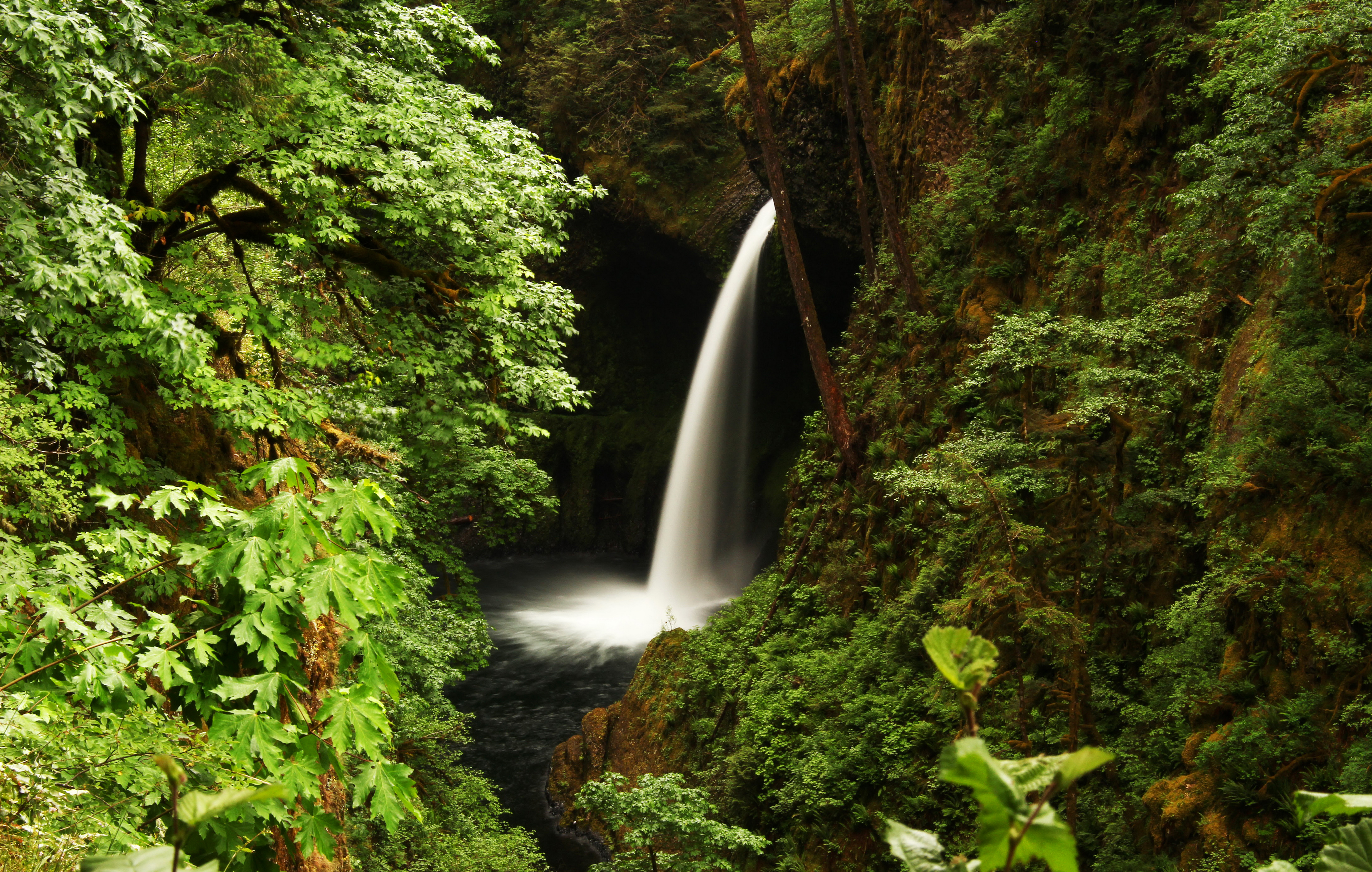 Descarga gratuita de fondo de pantalla para móvil de Naturaleza, Cascadas, Cascada, Tierra/naturaleza.