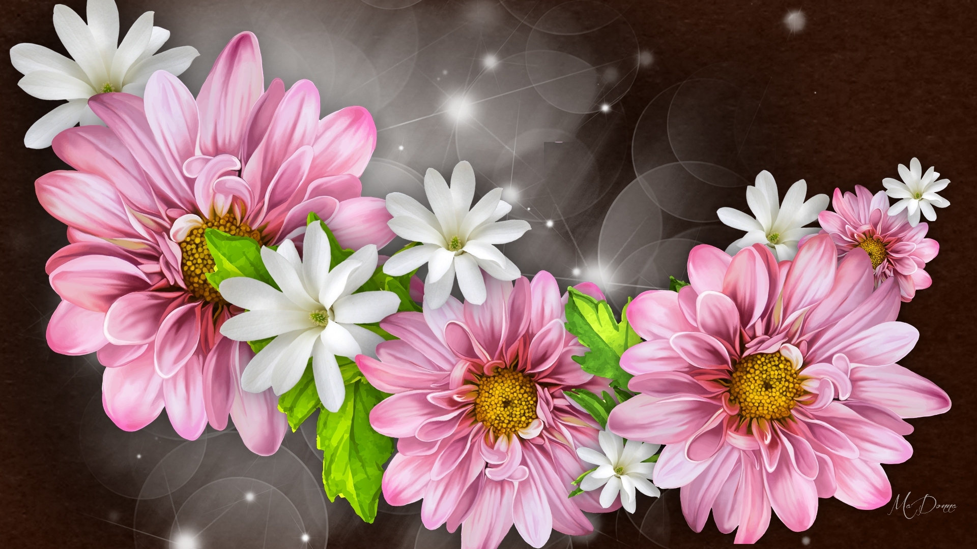 PCデスクトップにフラワーズ, 輝き, 花, 芸術的, 白い花, ピンクの花画像を無料でダウンロード