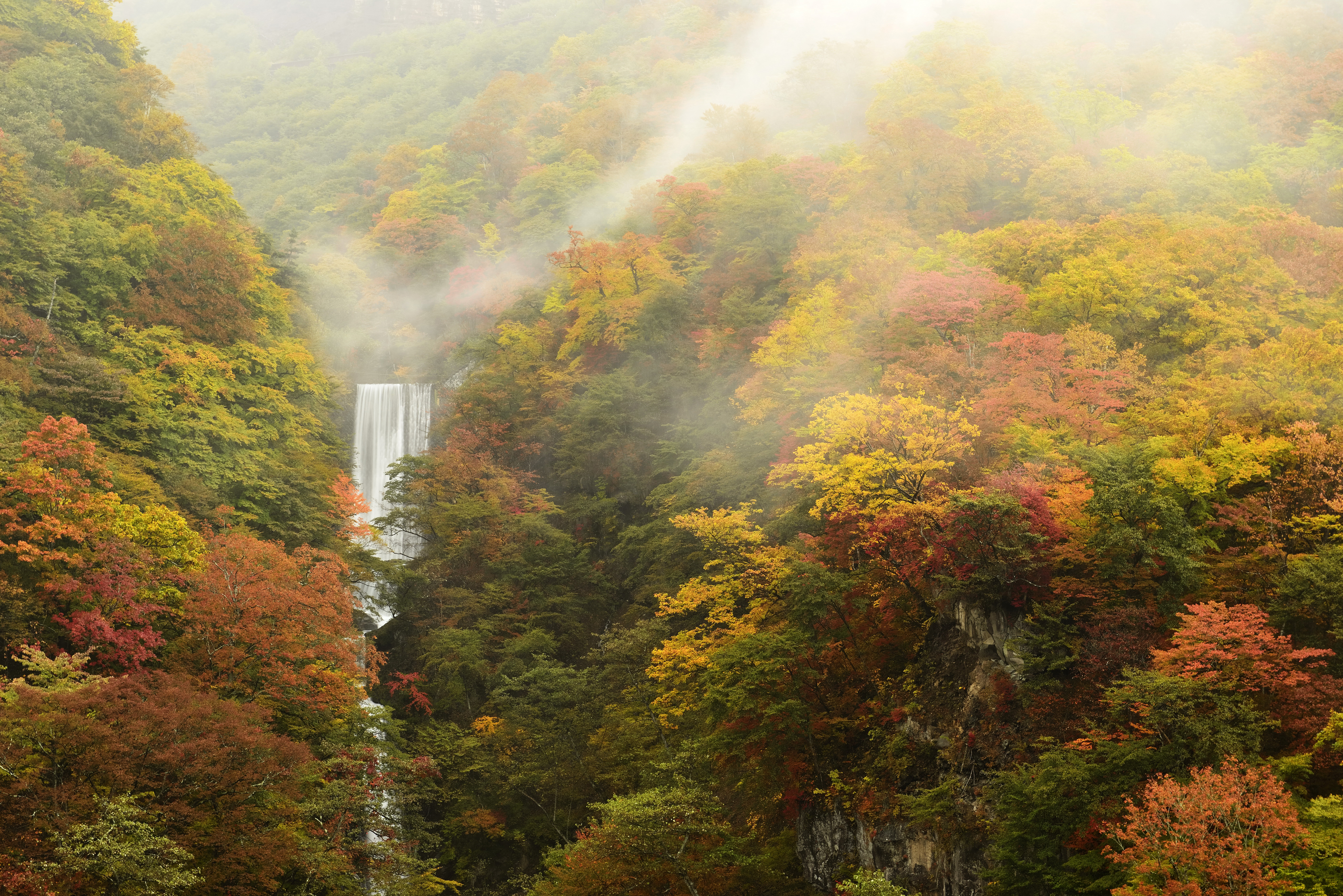 Скачать обои бесплатно Природа, Осень, Водопады, Водопад, Лес, Дерево, Туман, Земля/природа картинка на рабочий стол ПК
