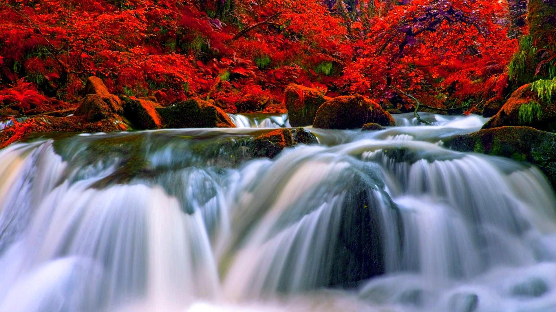 Скачать картинку Природа, Осень, Водопады, Водопад, Лес, Красный, Дерево, Листва, Земля/природа в телефон бесплатно.