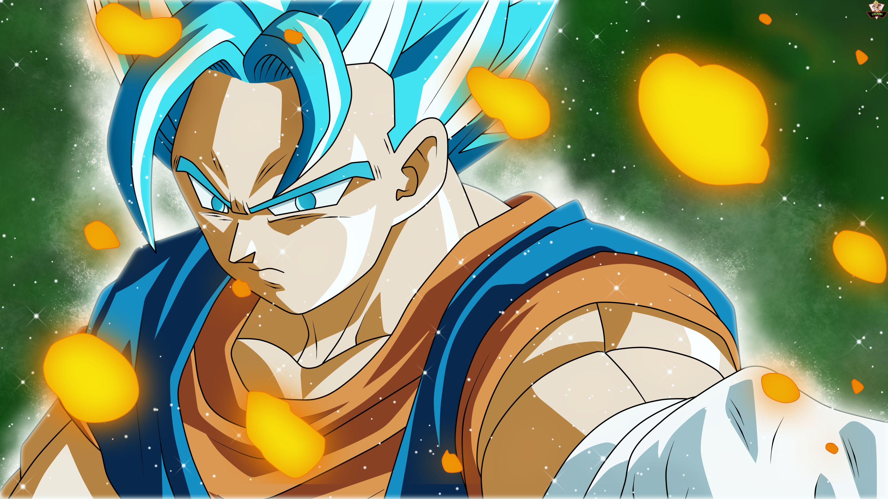 Download mobile wallpaper Anime, Dragon Ball, Goku, Dragon Ball Super, Super Saiyan Blue for free.