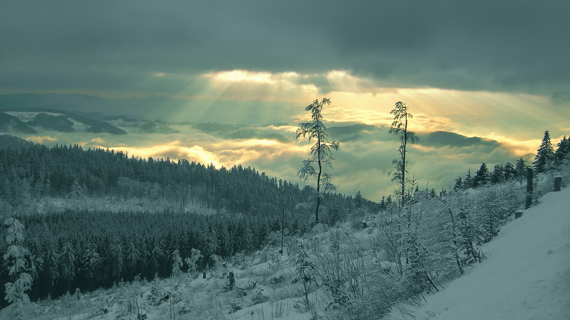 Téléchargez gratuitement l'image Hiver, Terre/nature sur le bureau de votre PC