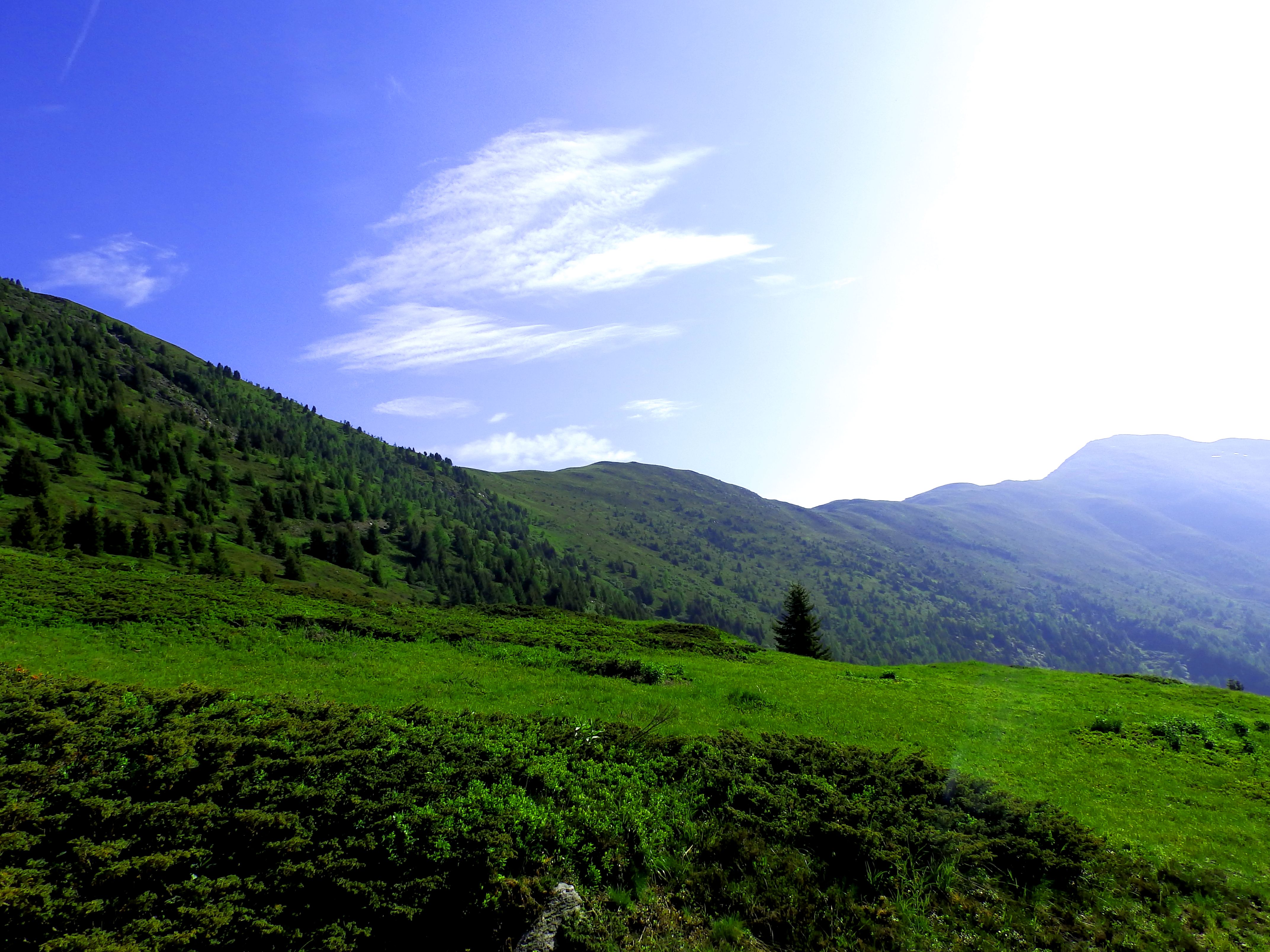 Скачать обои бесплатно Природа, Трава, Горы, Гора, Австрия, Альпы, Зеленый, Земля/природа картинка на рабочий стол ПК