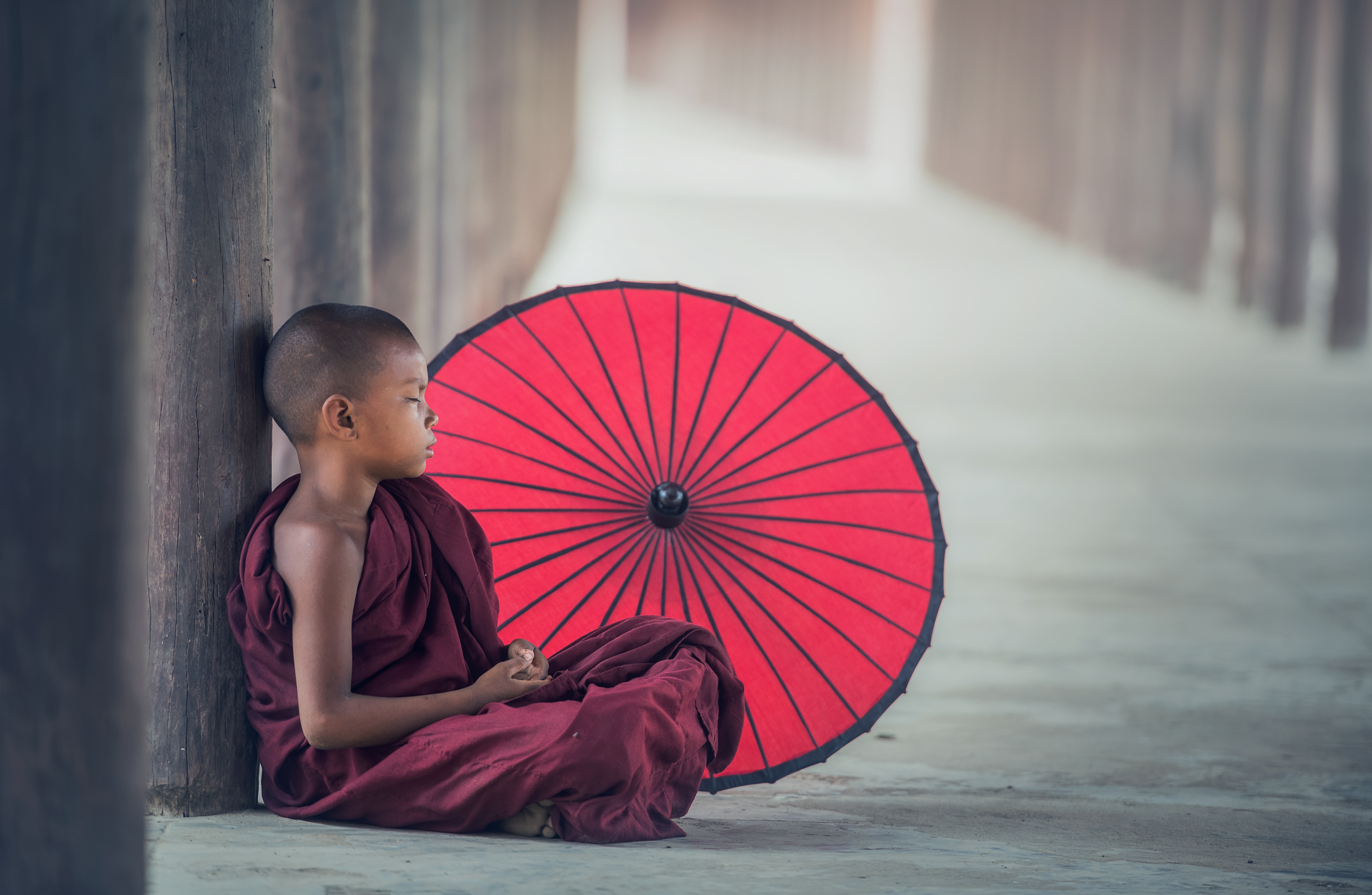 834306 descargar fondo de pantalla religioso, monje, budismo, paraguas: protectores de pantalla e imágenes gratis