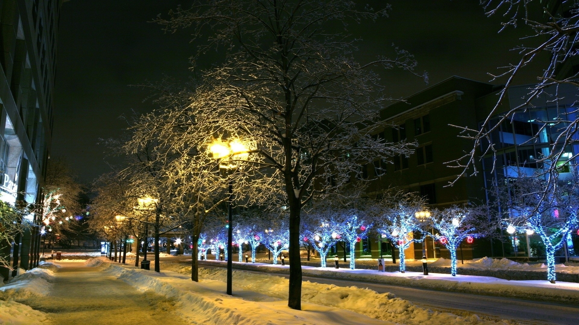Free download wallpaper Winter, Night, Snow, Light, Tree, Path, Photography on your PC desktop
